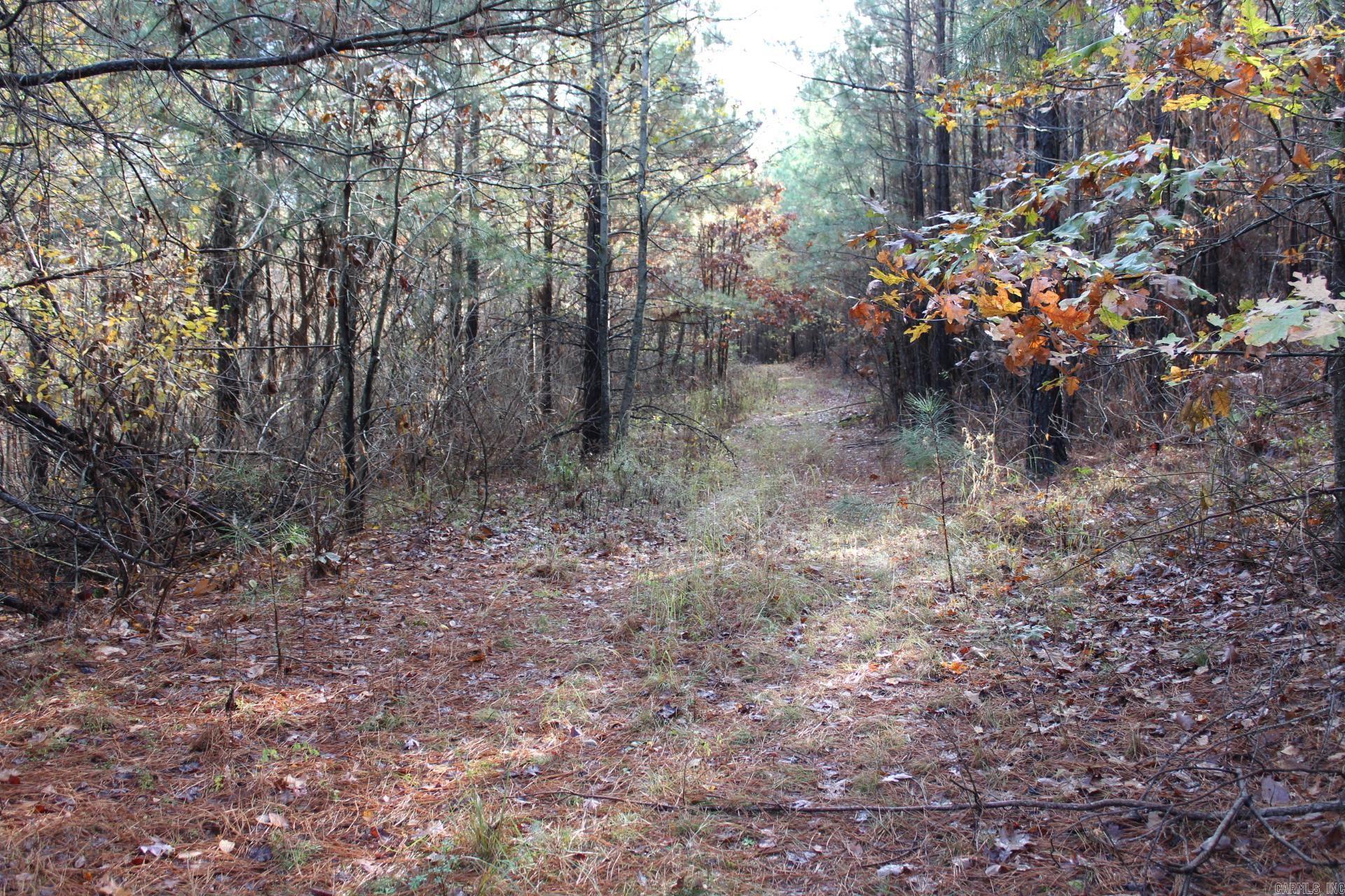 Hickory Grove Rd.  Nashville, AR