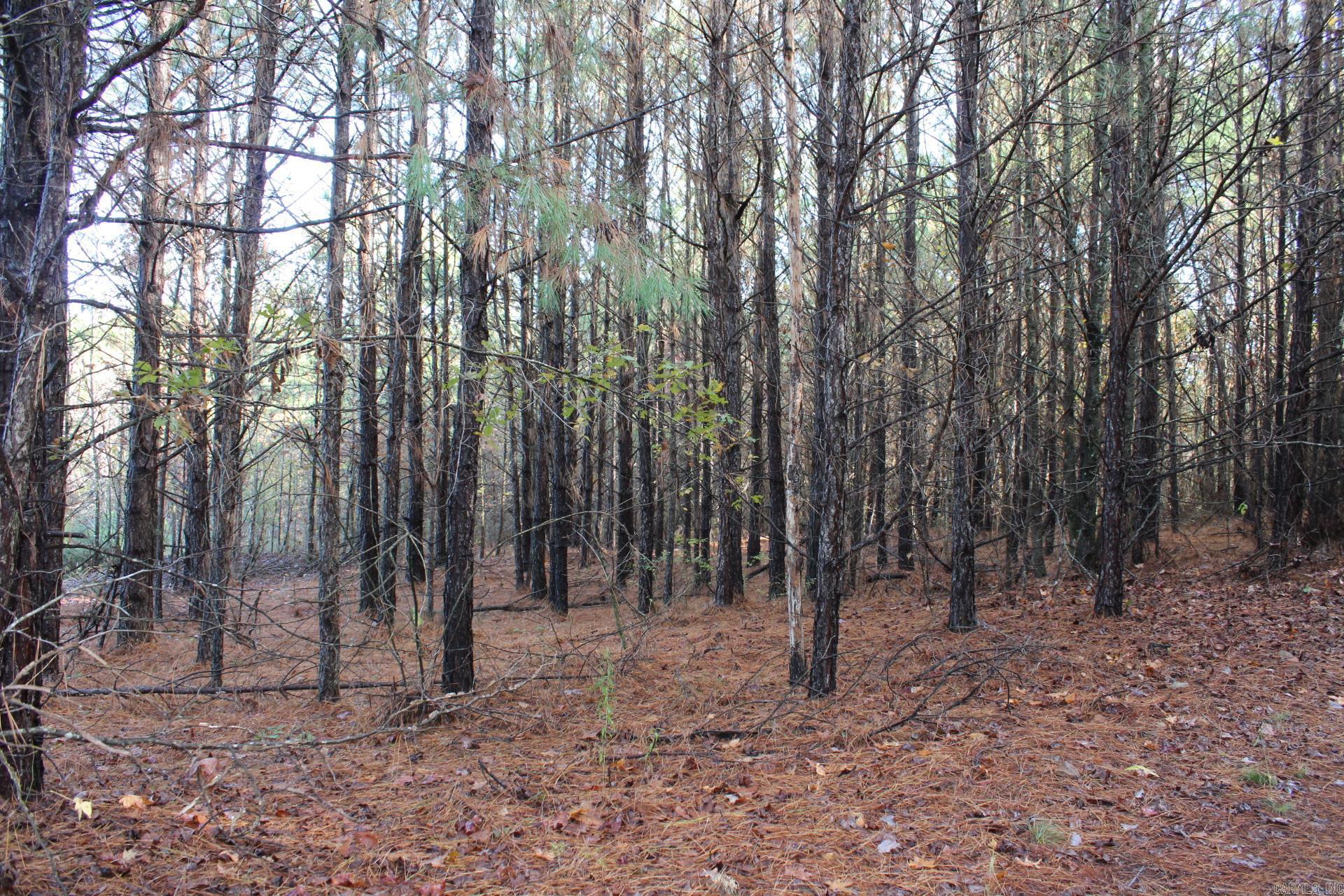  Hickory Grove Rd.  Nashville, AR