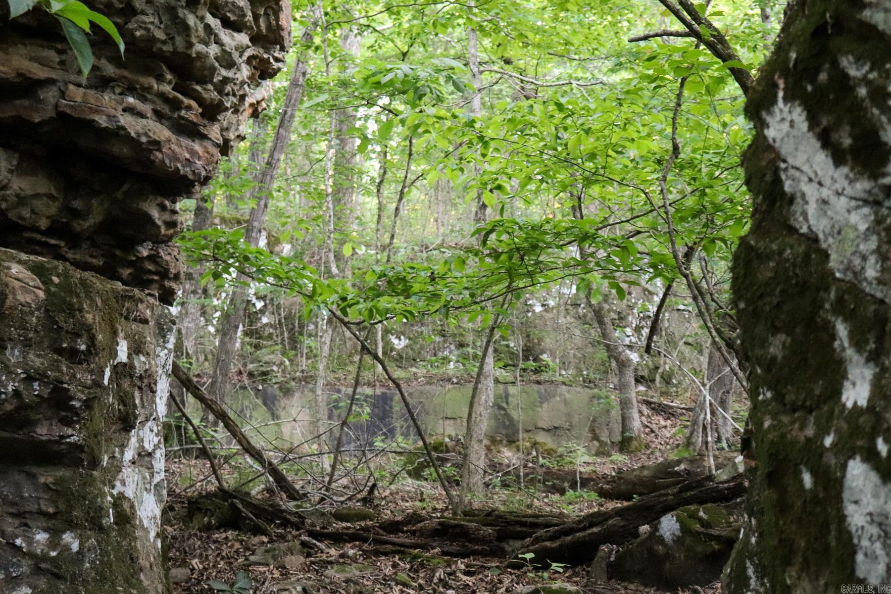 0000 Whiskey Creek  Batesville, AR