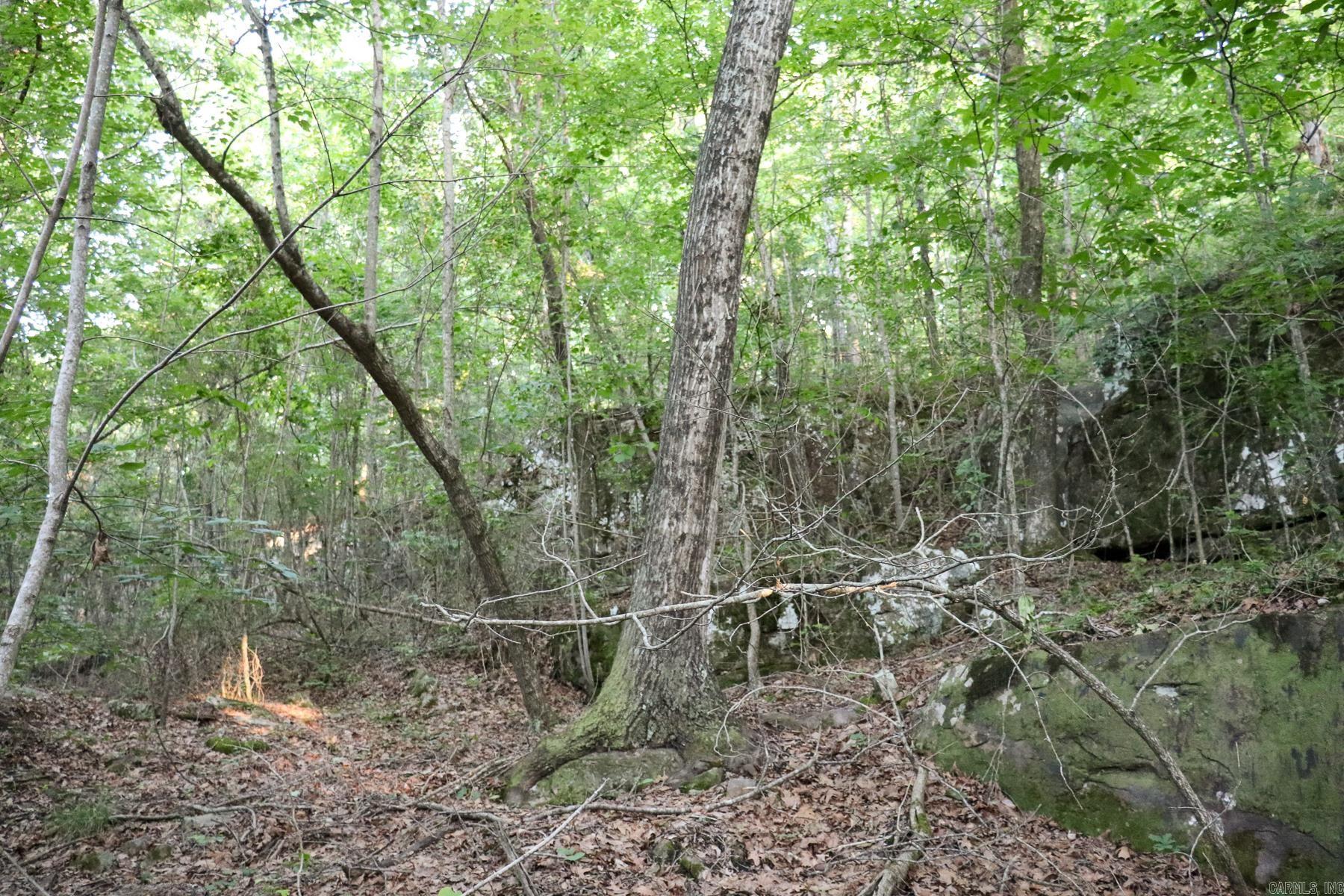 0000 Whiskey Creek  Batesville, AR