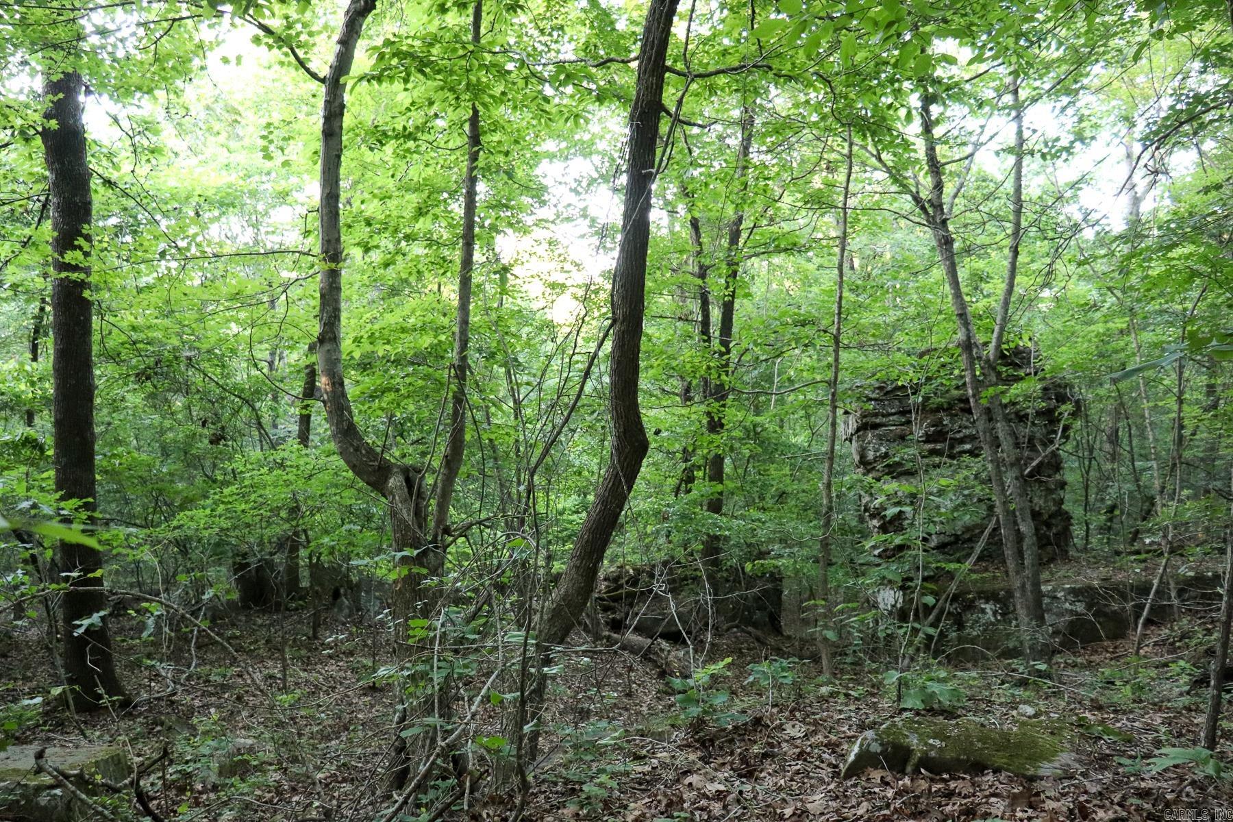 0000 Whiskey Creek  Batesville, AR