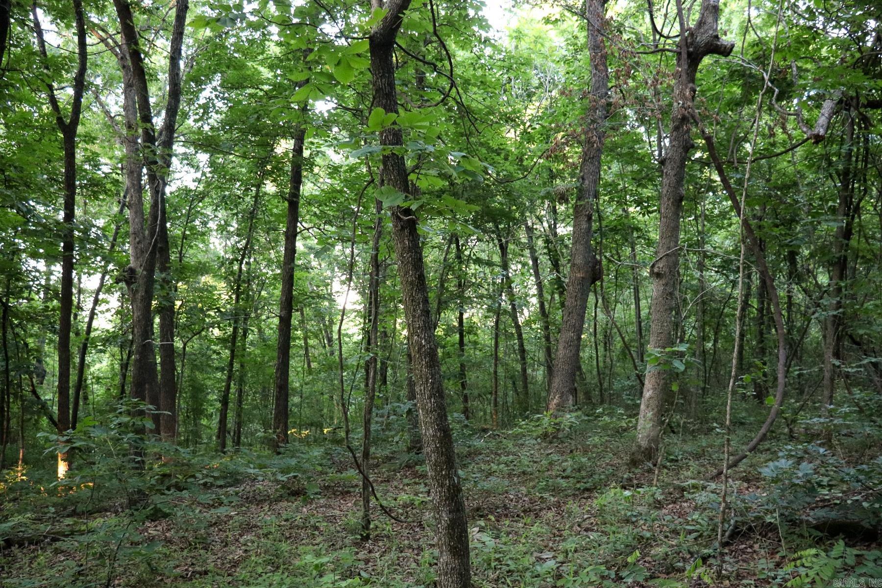 0000 Whiskey Creek  Batesville, AR