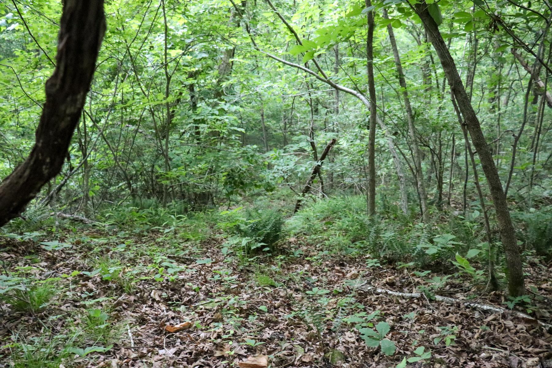 0000 Whiskey Creek  Batesville, AR