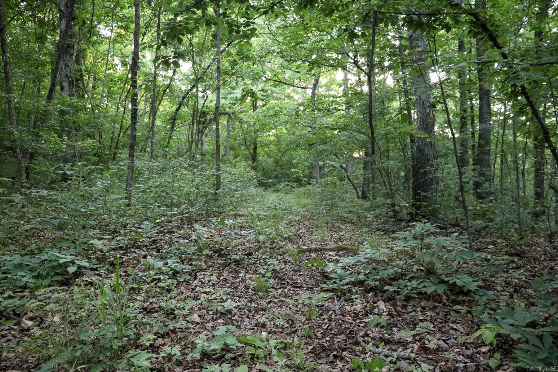 0000 Whiskey Creek  Batesville, AR