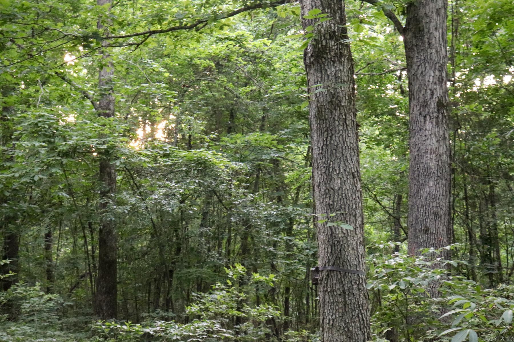 0000 Whiskey Creek  Batesville, AR