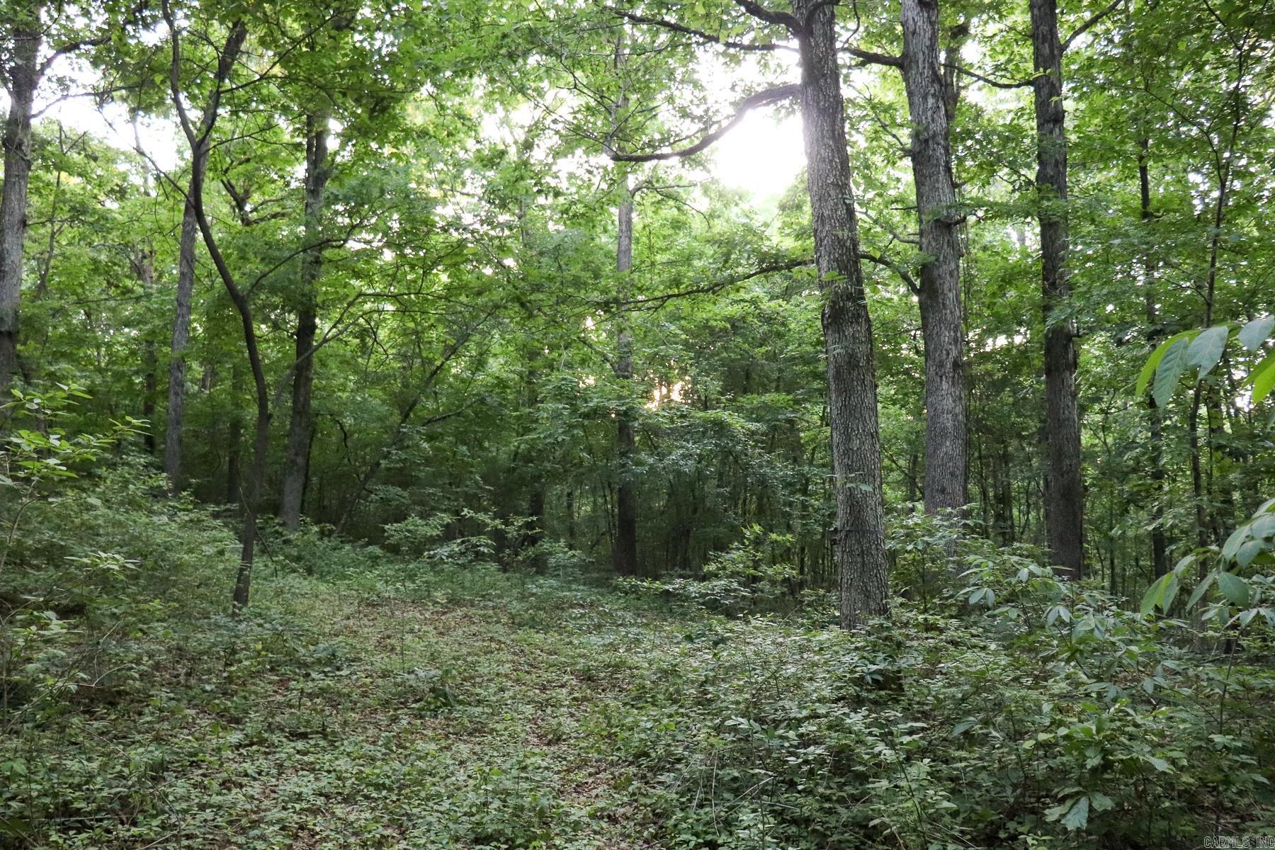 0000 Whiskey Creek  Batesville, AR