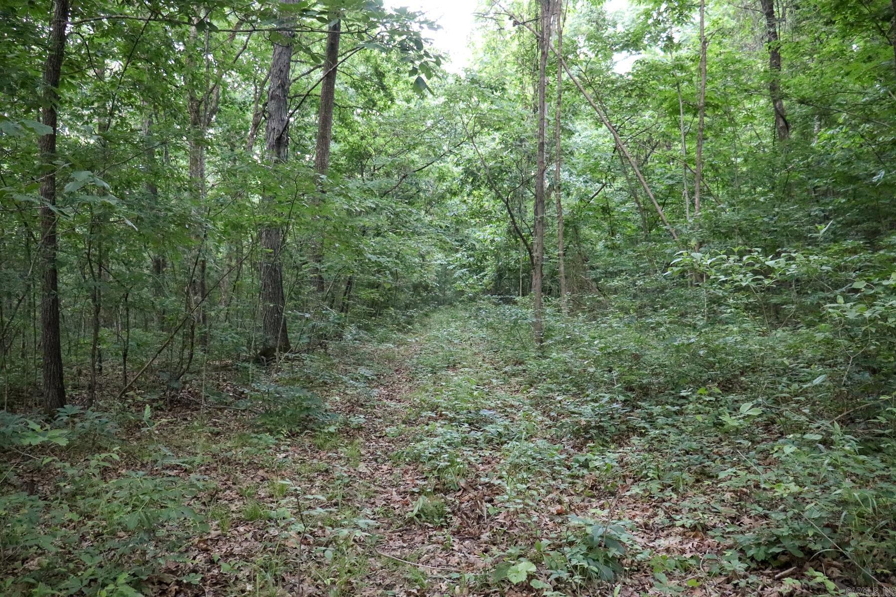 0000 Whiskey Creek  Batesville, AR