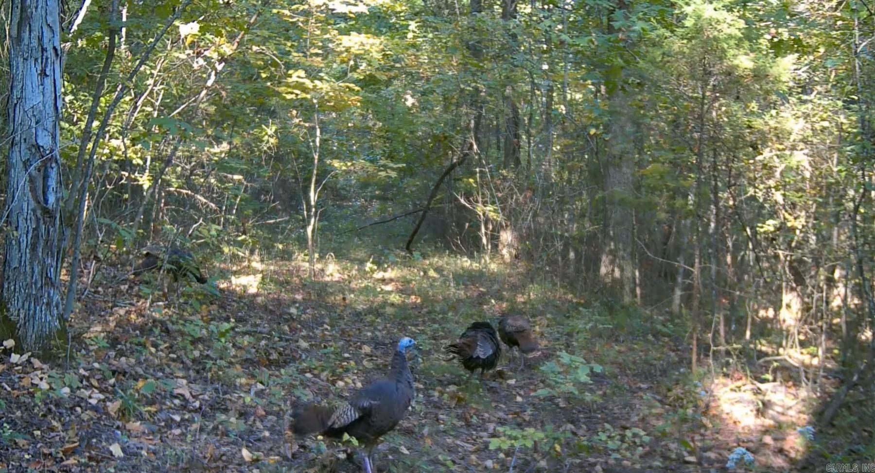 0000 Whiskey Creek  Batesville, AR