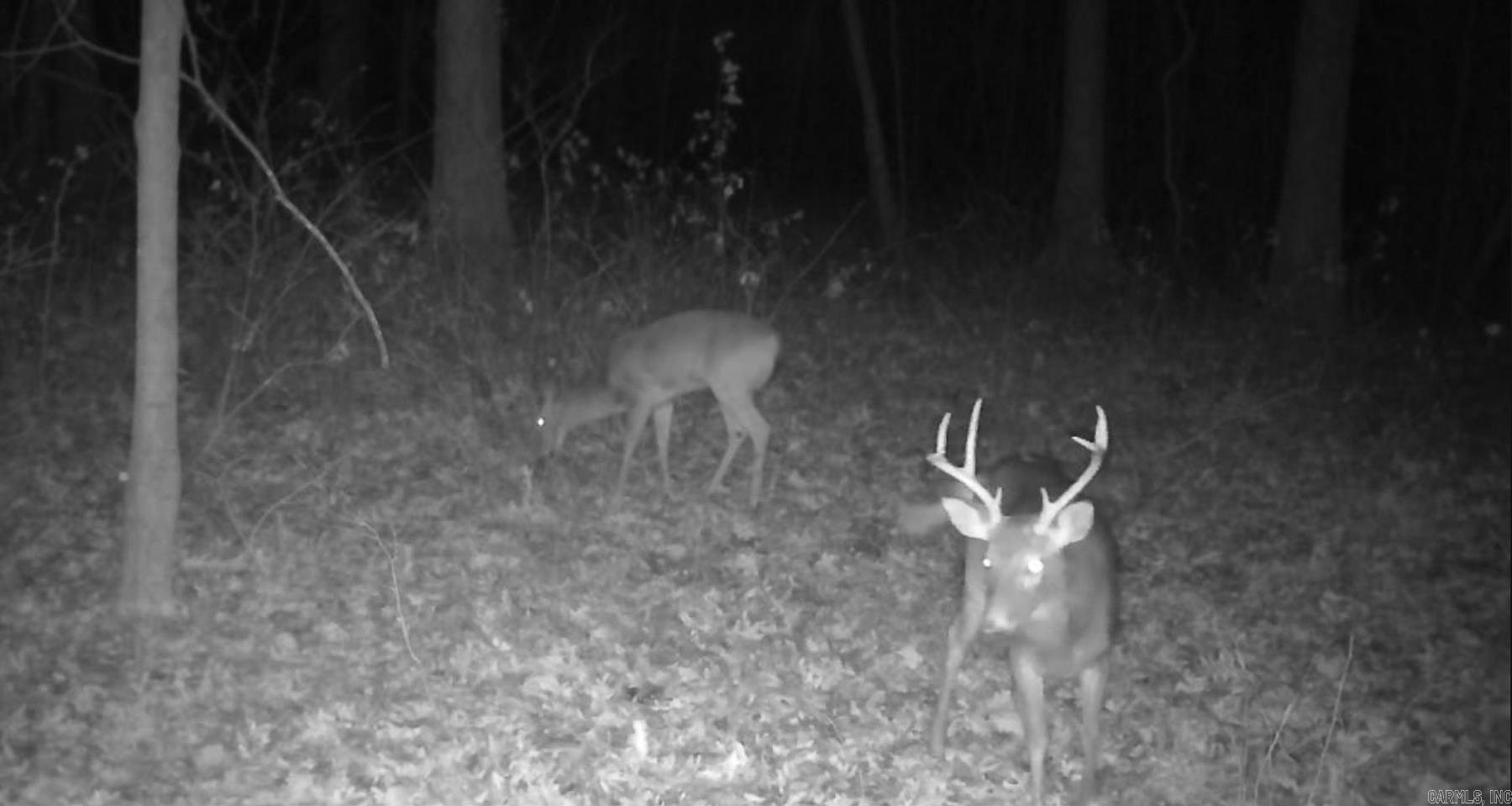 0000 Whiskey Creek  Batesville, AR