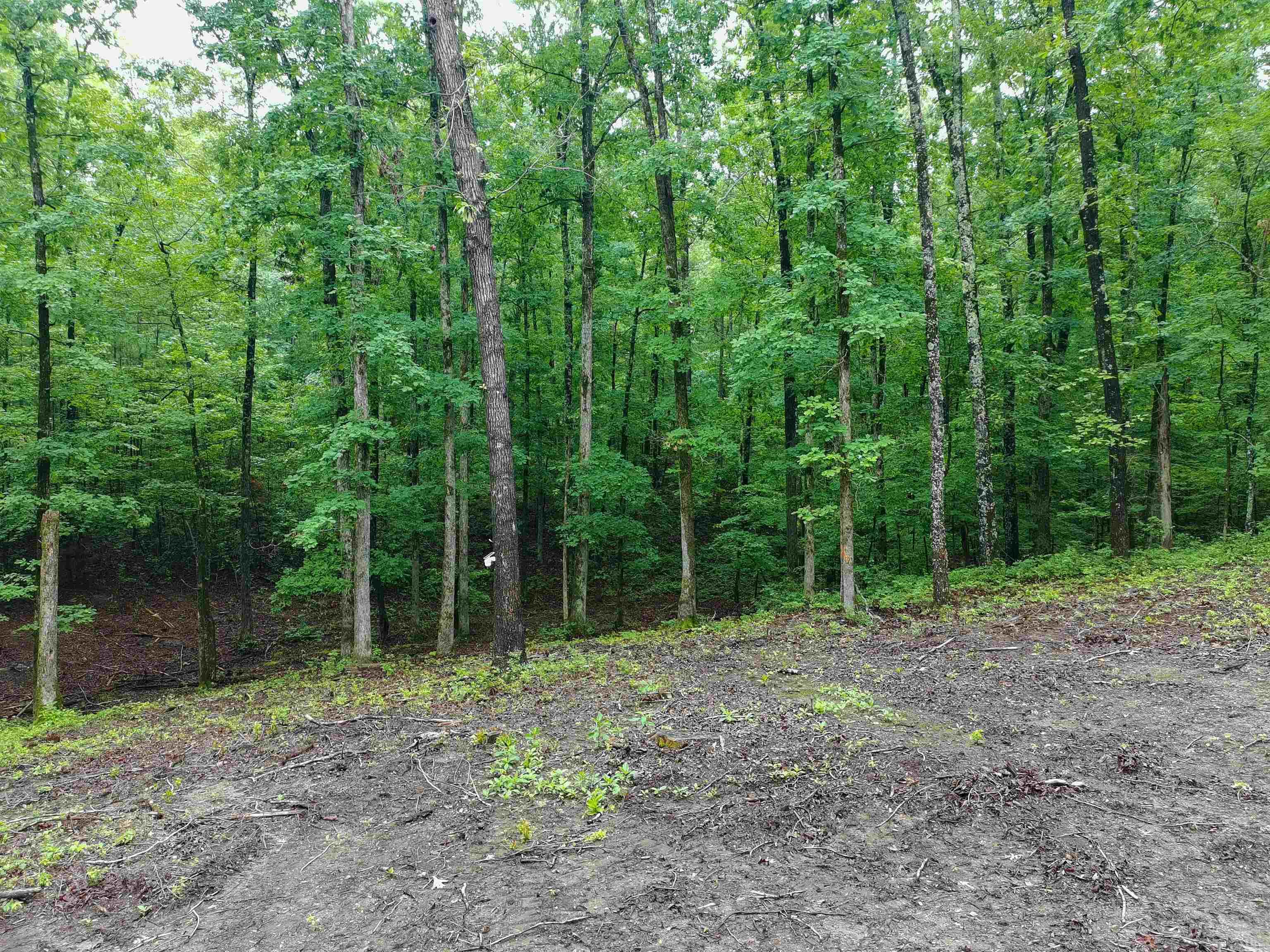 279 Needham Road  Hot Springs, AR
