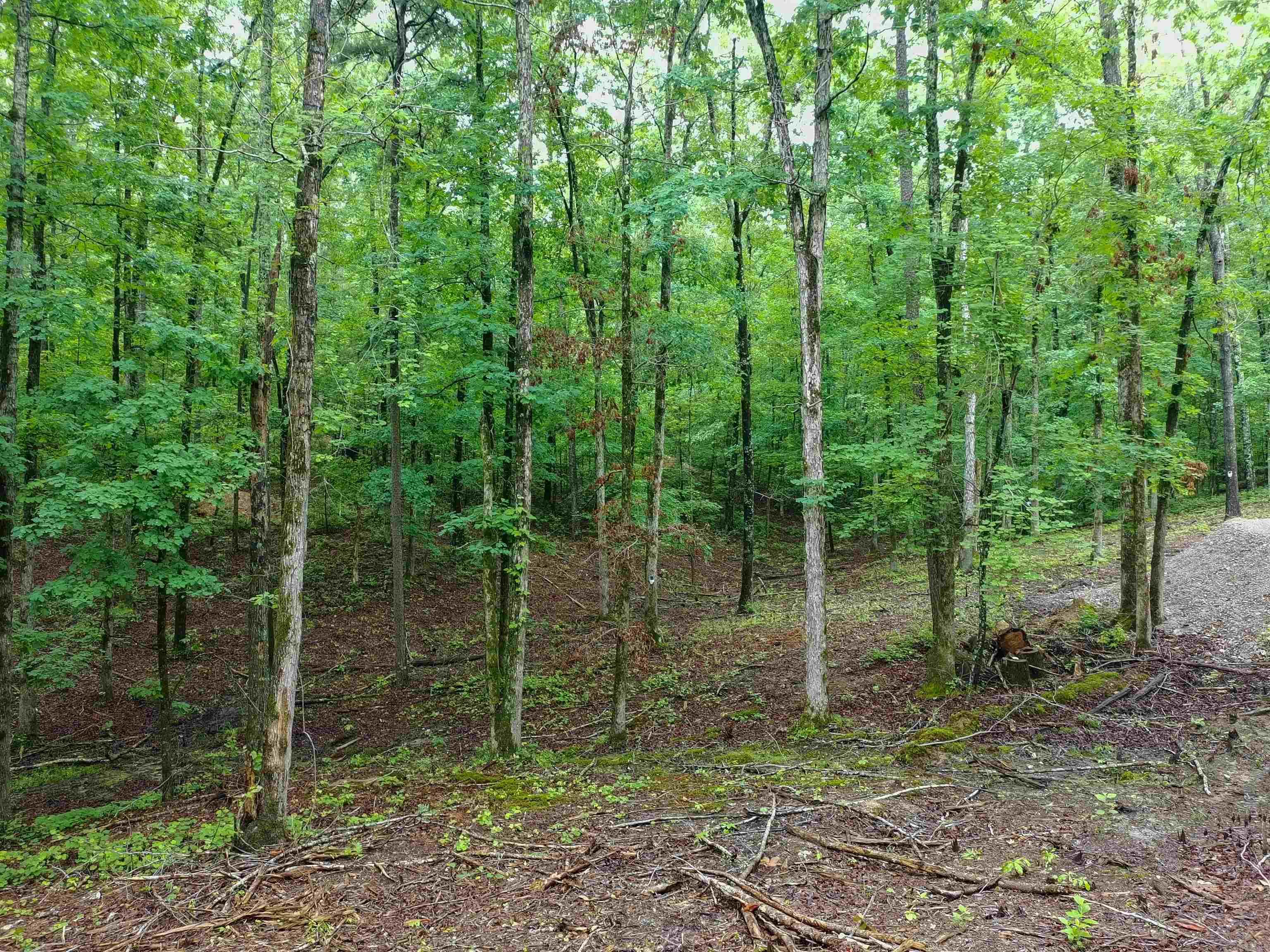 279 Needham Road  Hot Springs, AR