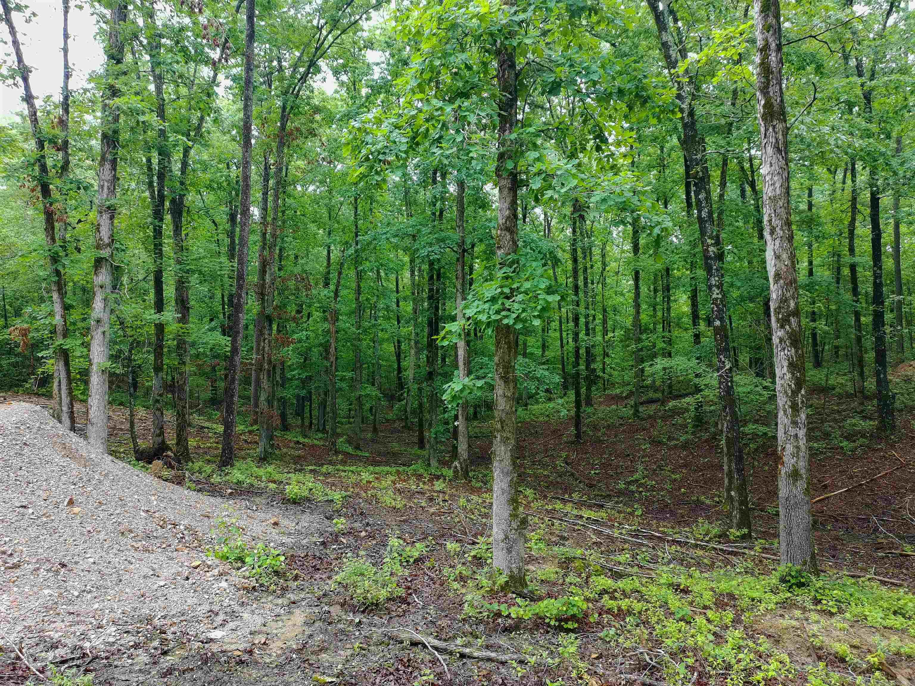 279 Needham Road  Hot Springs, AR