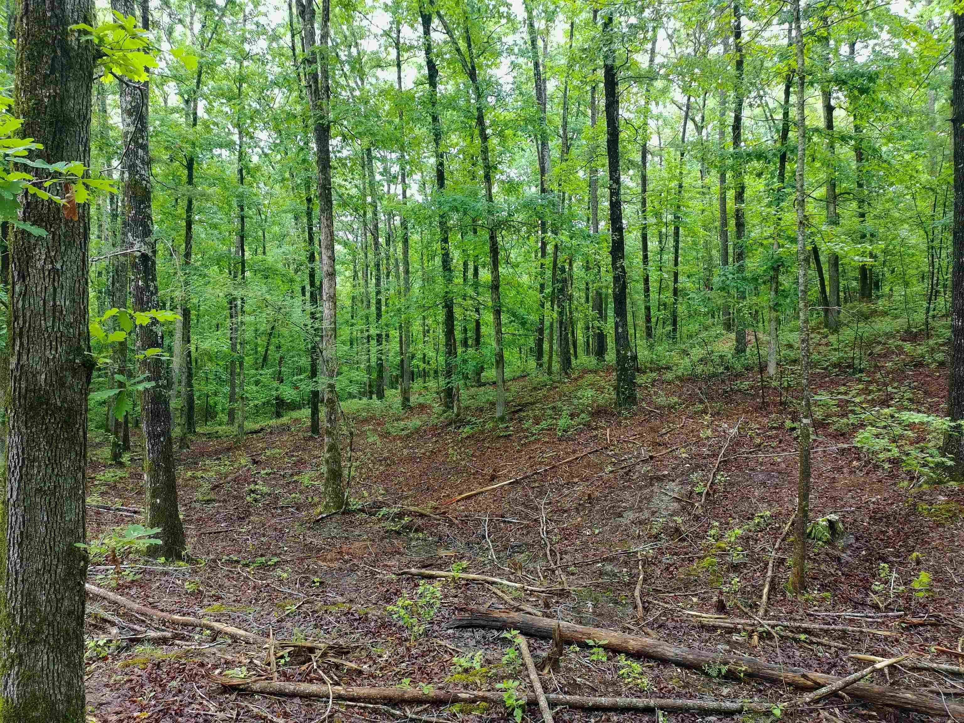 279 Needham Road  Hot Springs, AR
