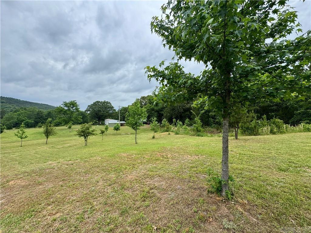 3610 Rushing Rd  Dover, AR