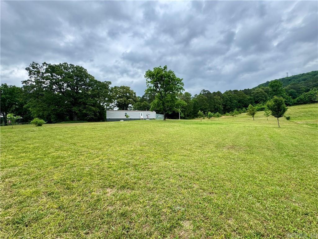 3610 Rushing Rd  Dover, AR