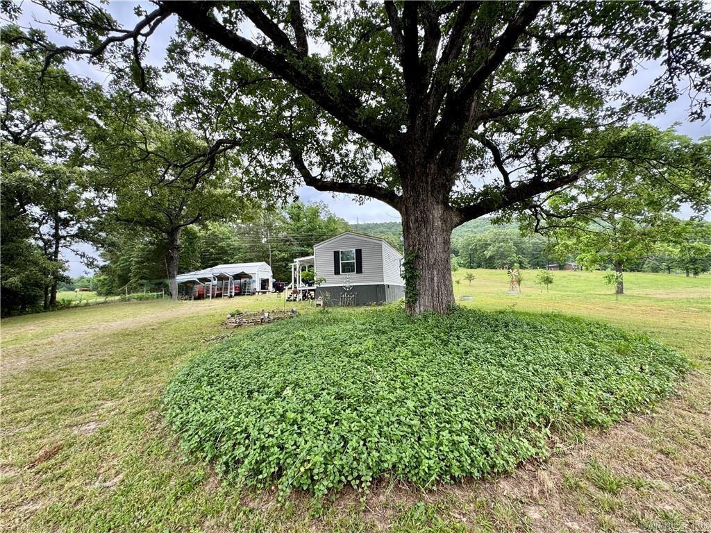 3610 Rushing Rd  Dover, AR