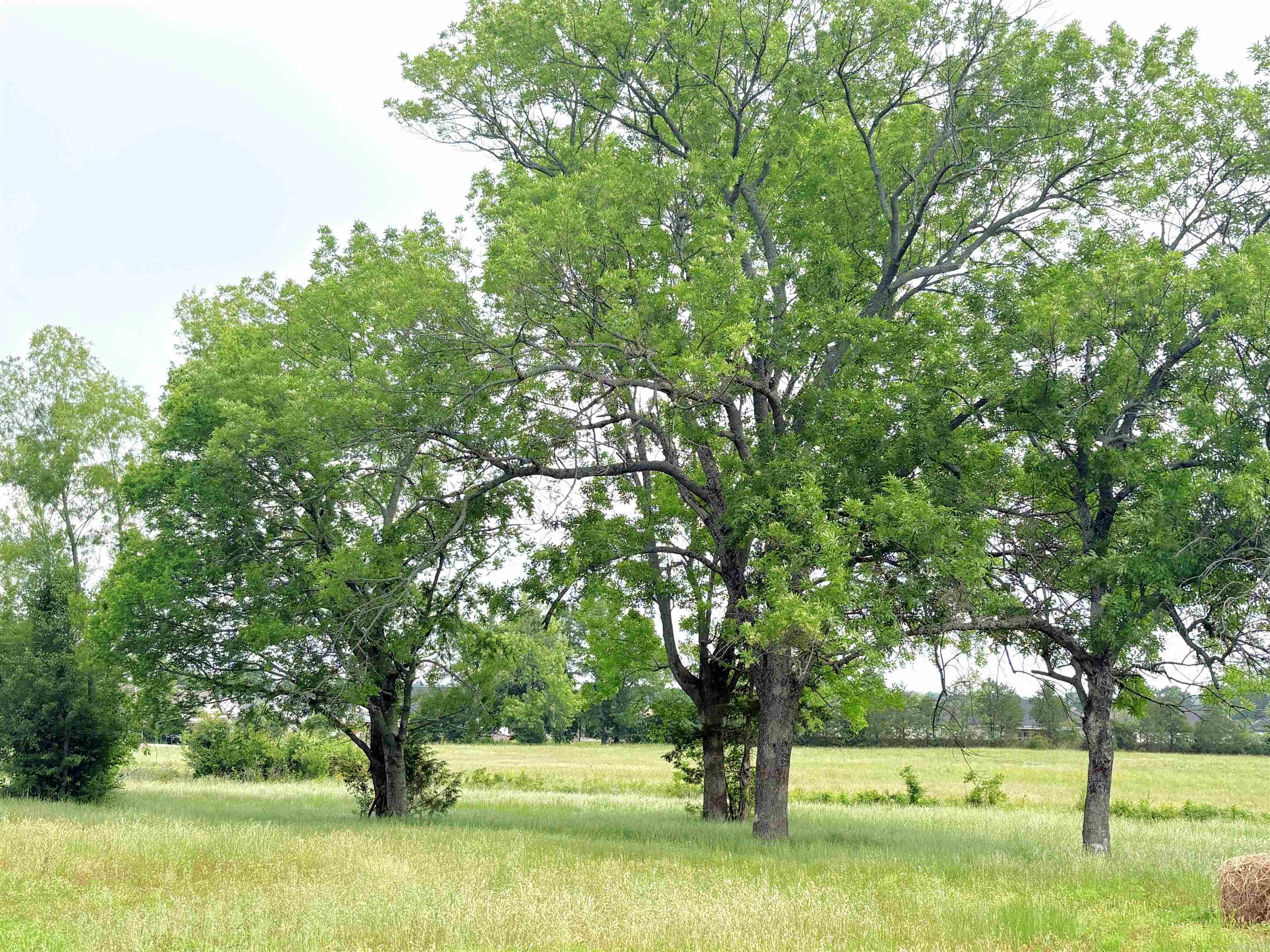78 E Hwy 225  Greenbrier, AR