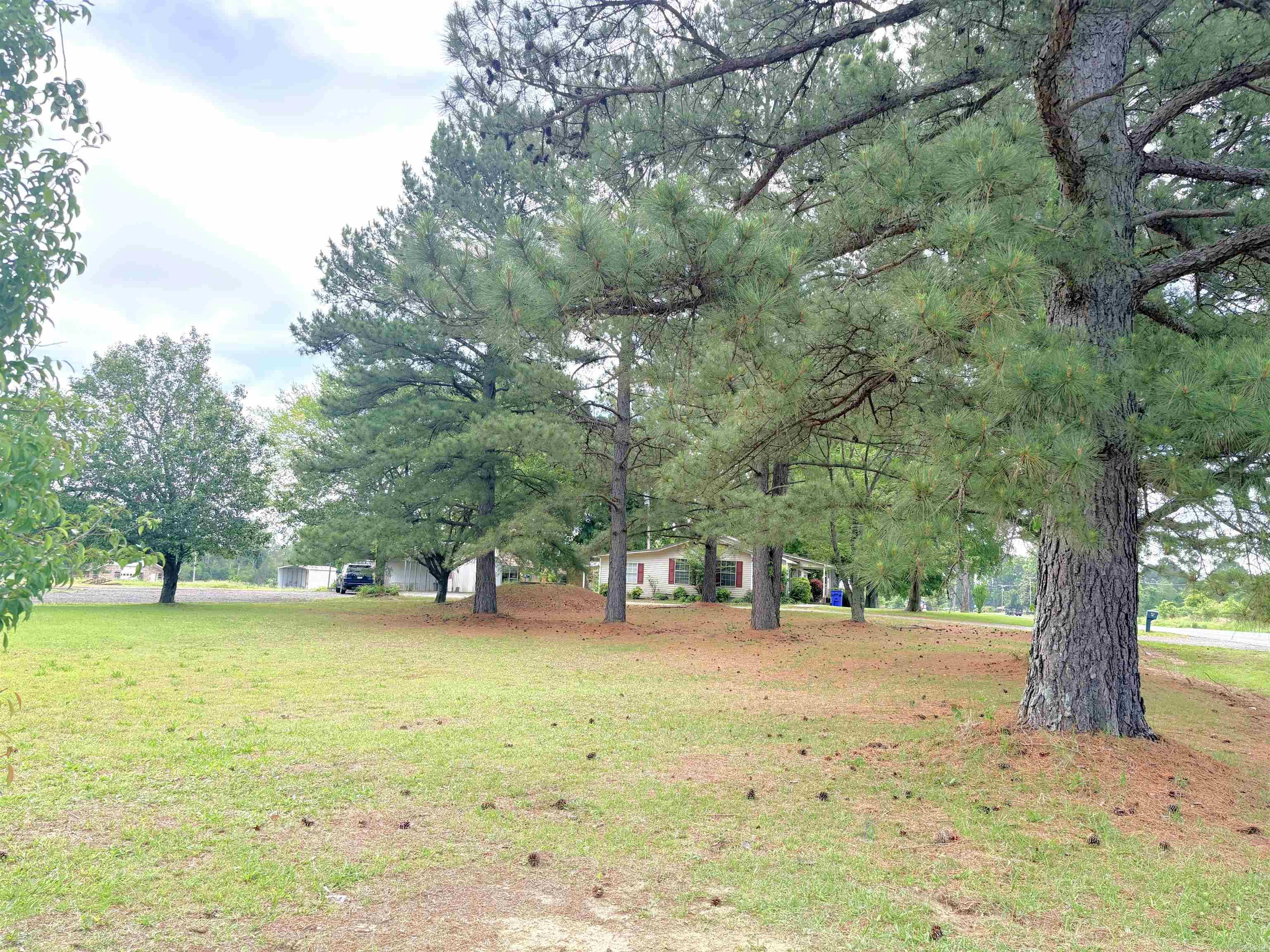 78 E Hwy 225  Greenbrier, AR