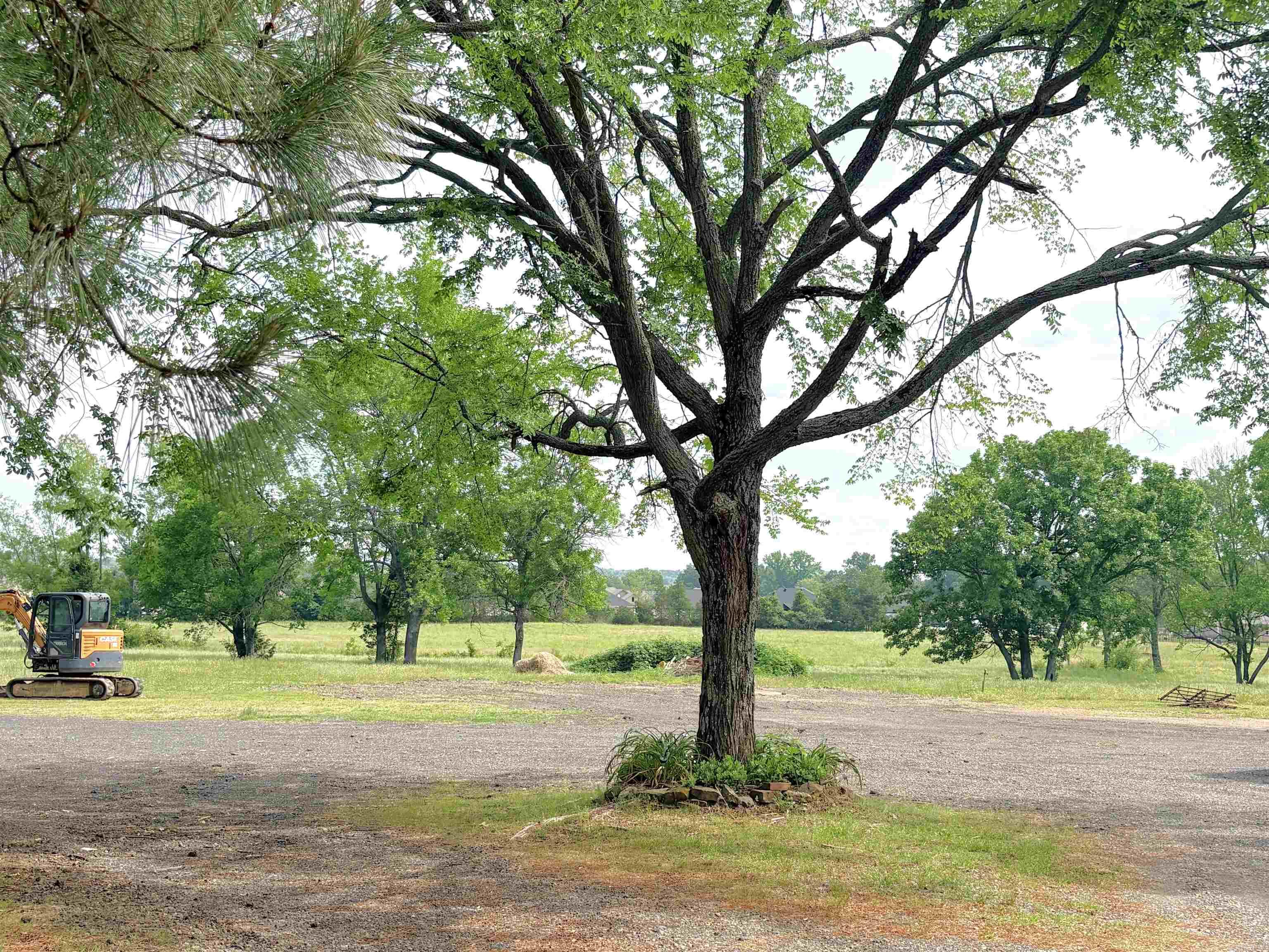 78 E Hwy 225  Greenbrier, AR