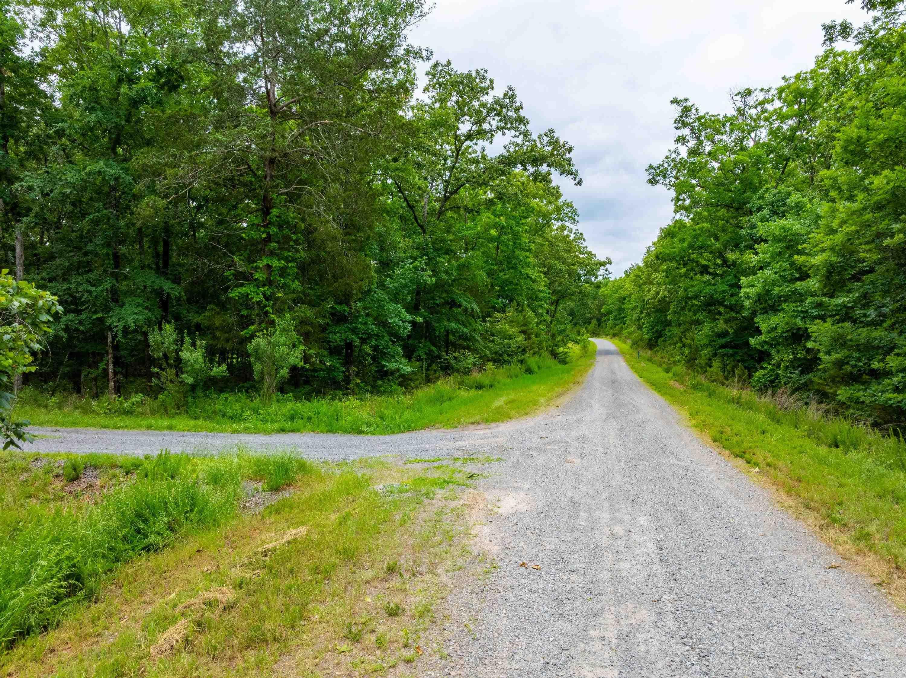 2973 Burnt Ridge  Shirley, AR