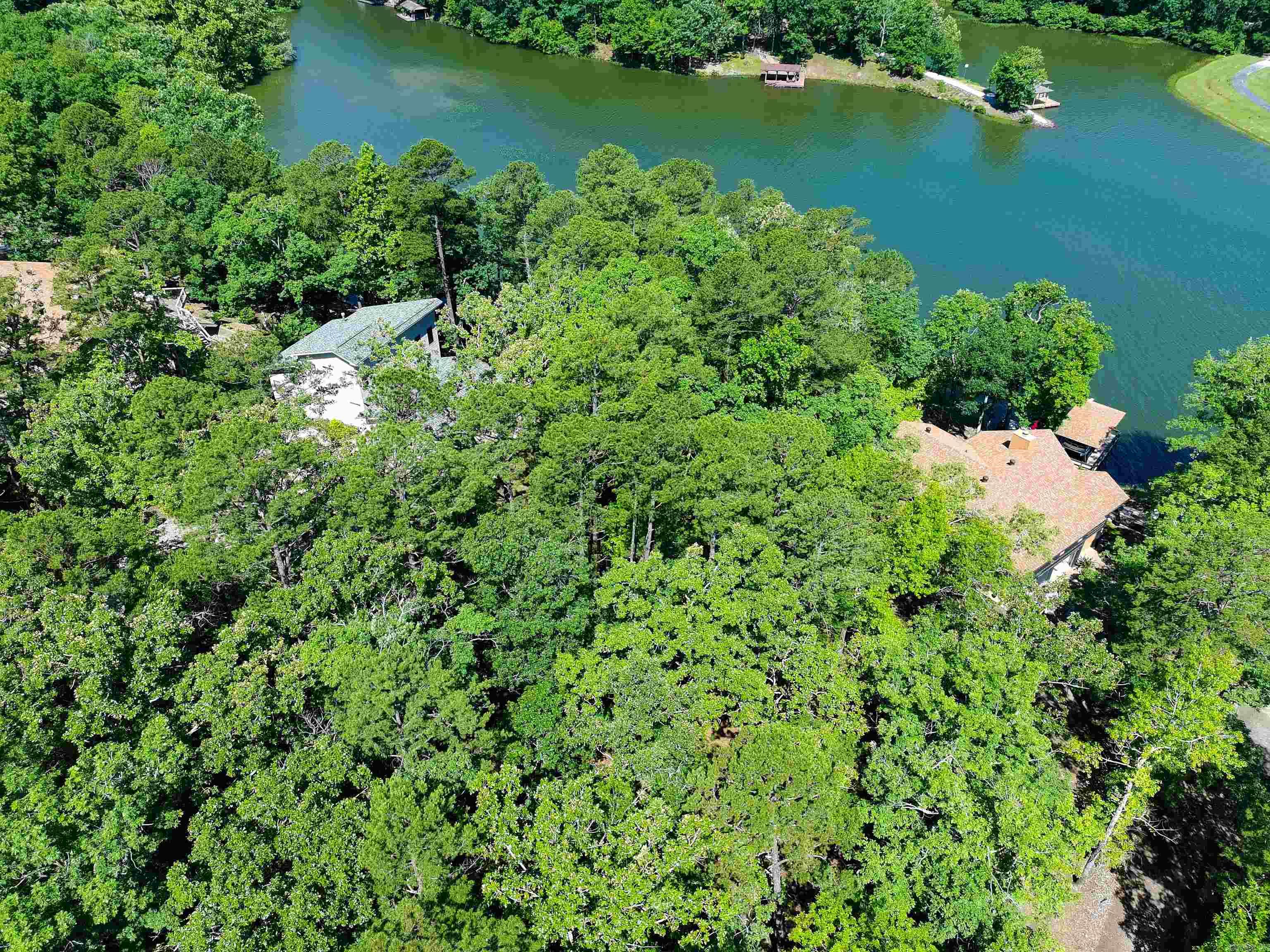 41 Fineza  Hot Springs Village, AR