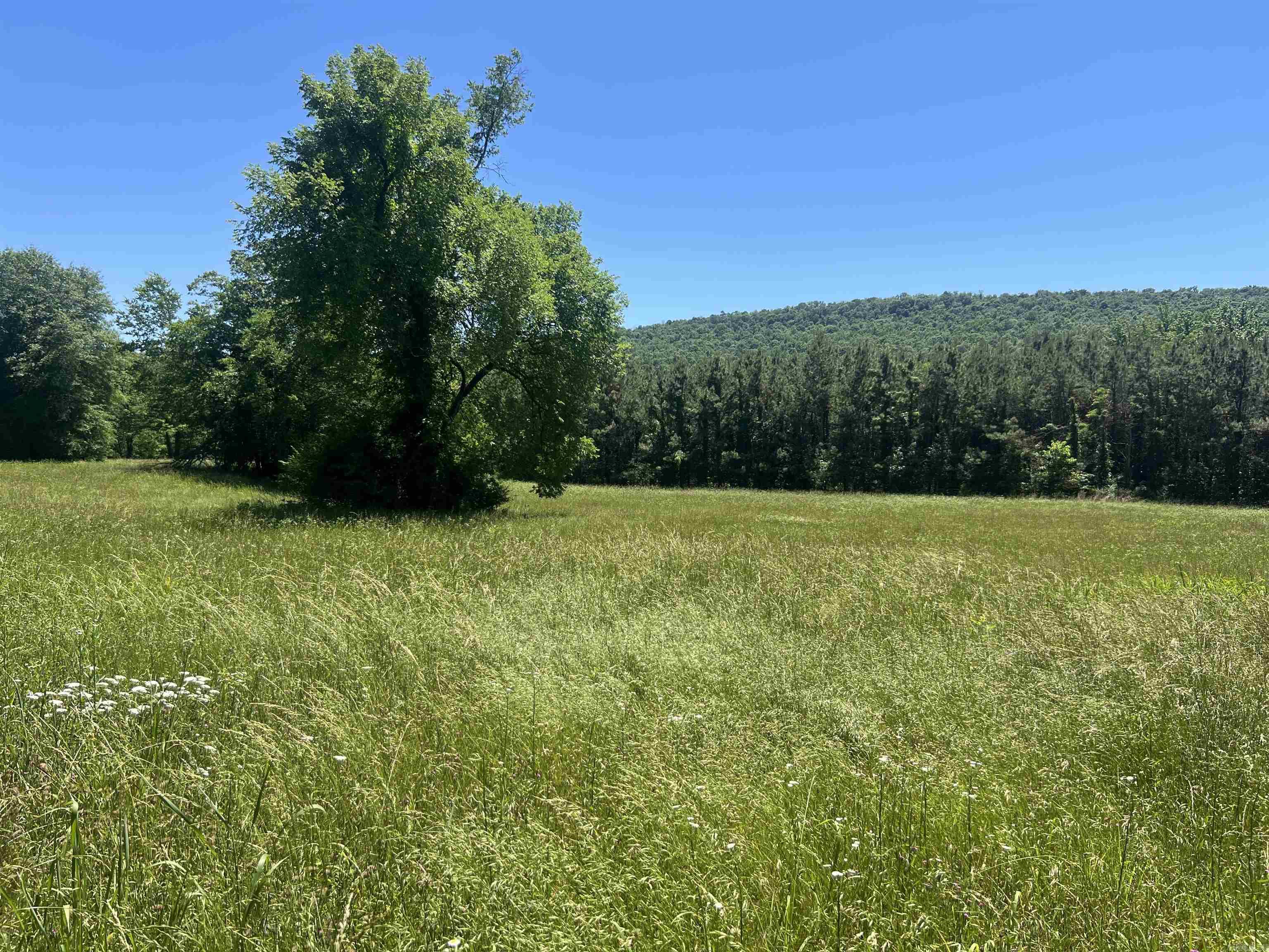 13535 Harkey Valley  Dardanelle, AR