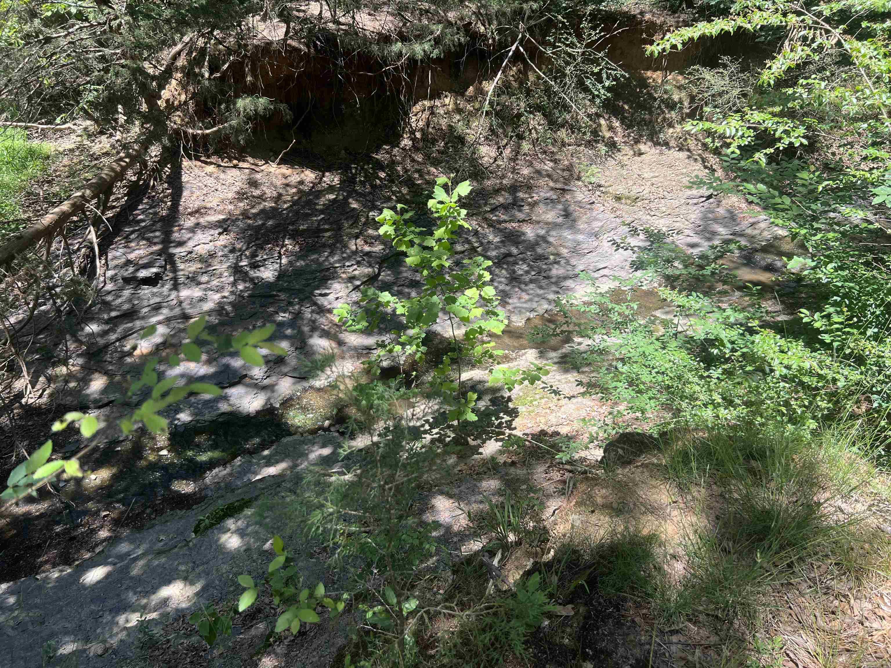 13535 Harkey Valley  Dardanelle, AR