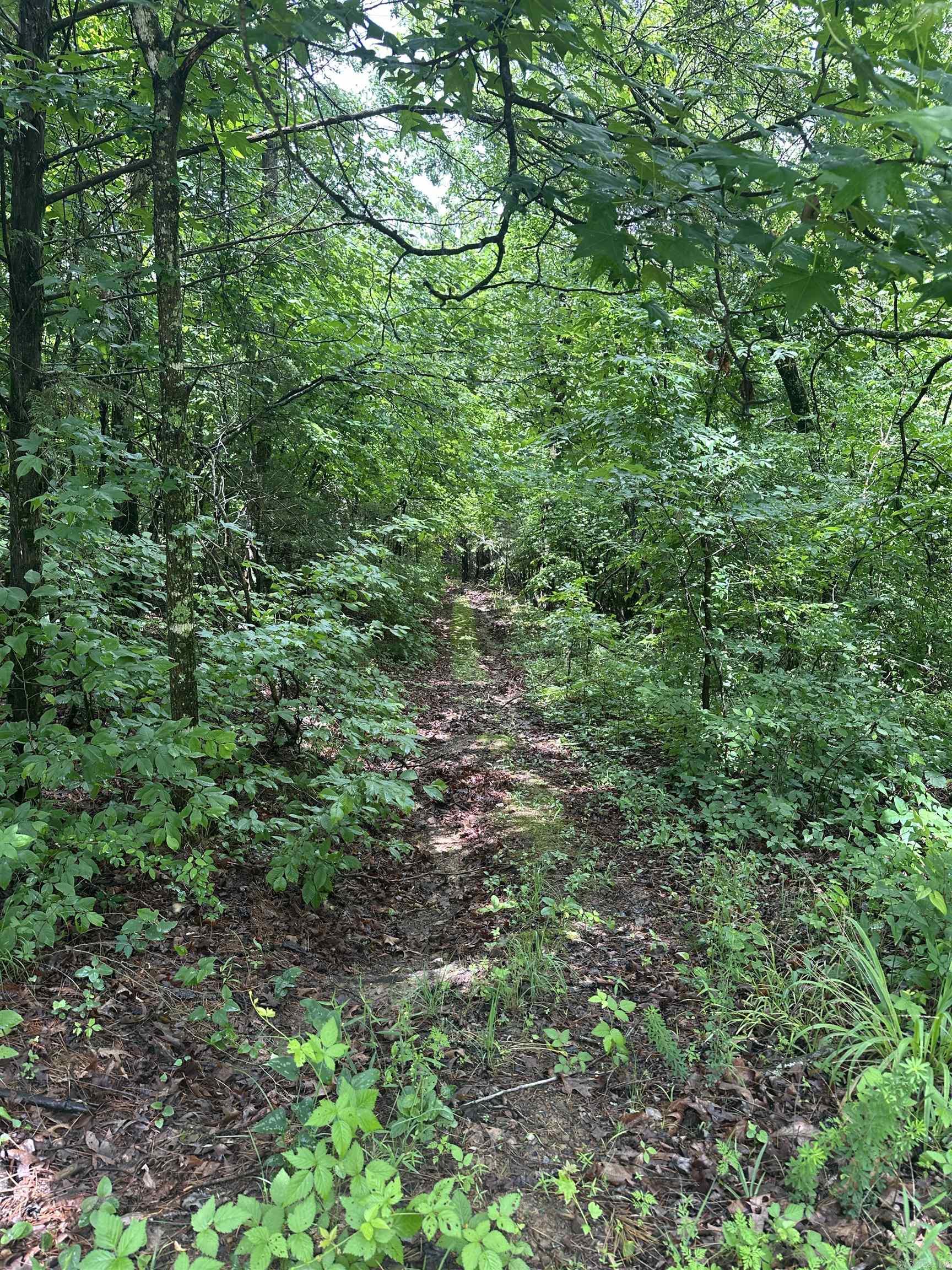 345 Polk Road 301  Mena, AR