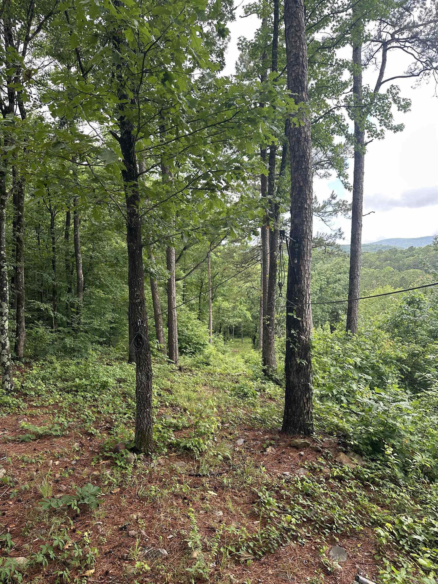 345 Polk Road 301  Mena, AR