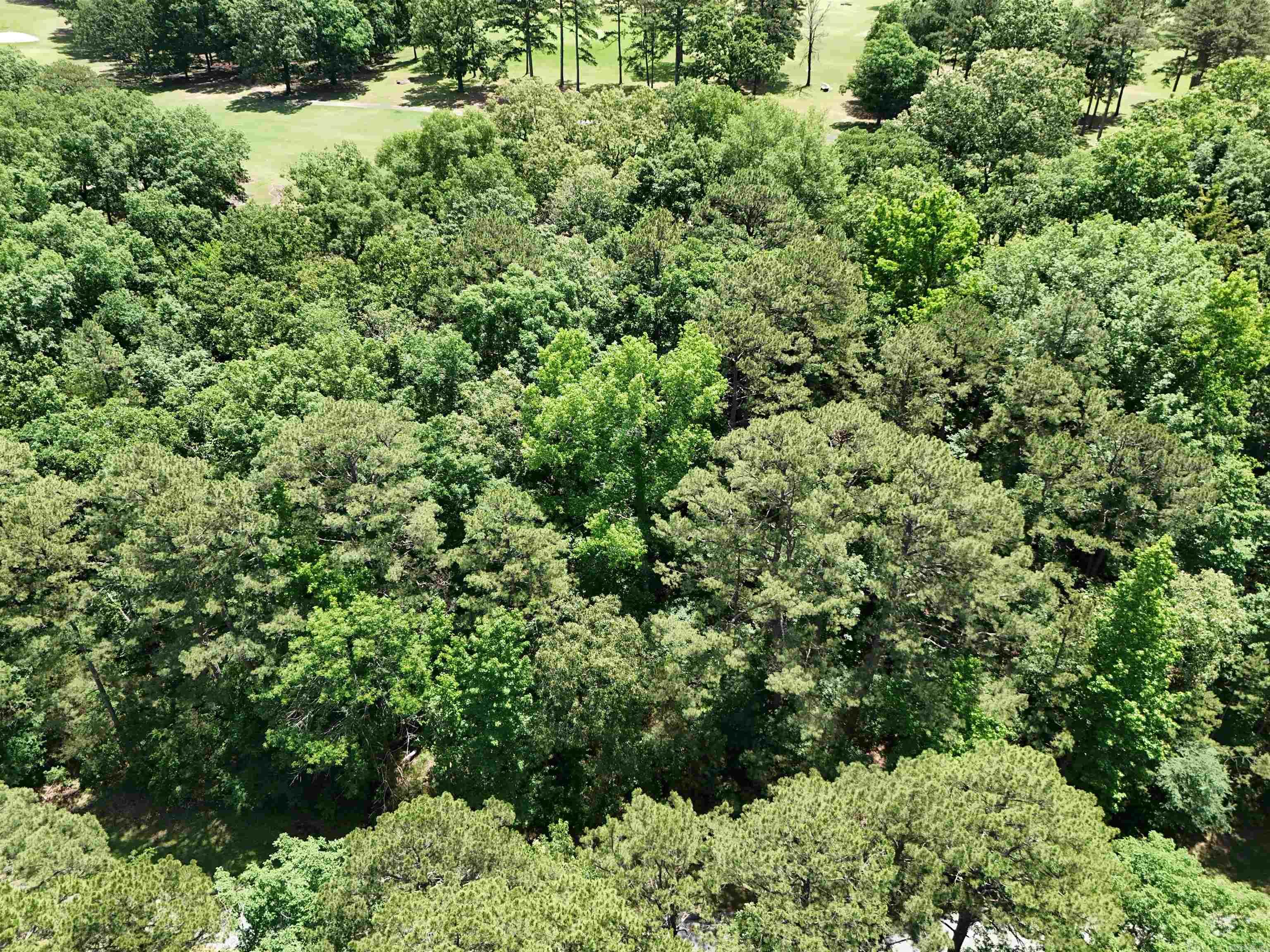 Lot 8 Mountain Ranch  Fairfield Bay, AR