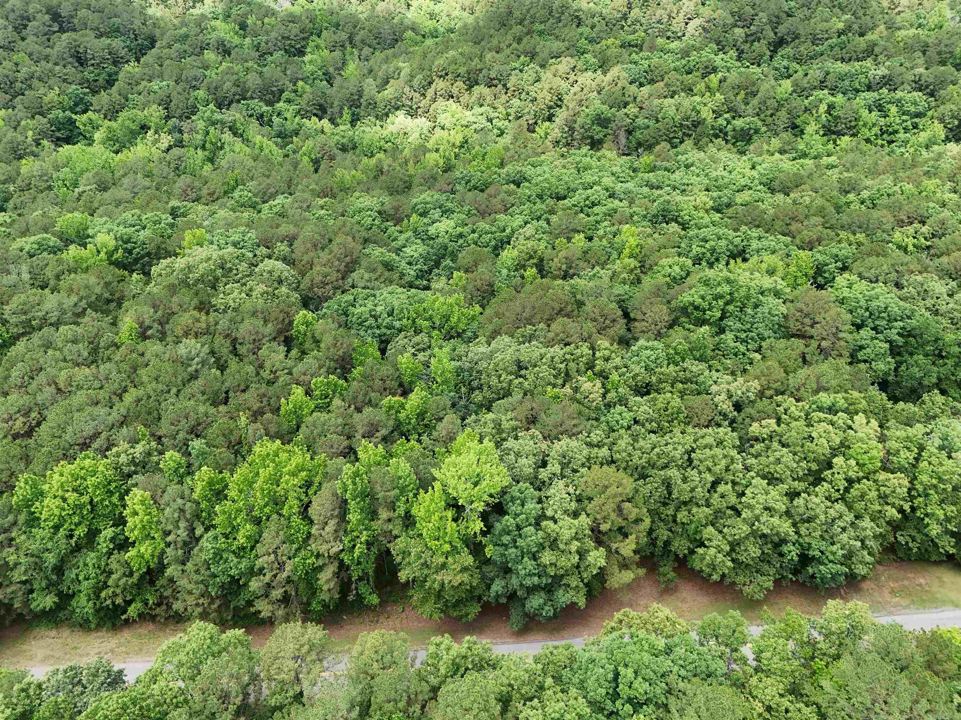 Lot 42 Mountain Ranch  Fairfield Bay, AR