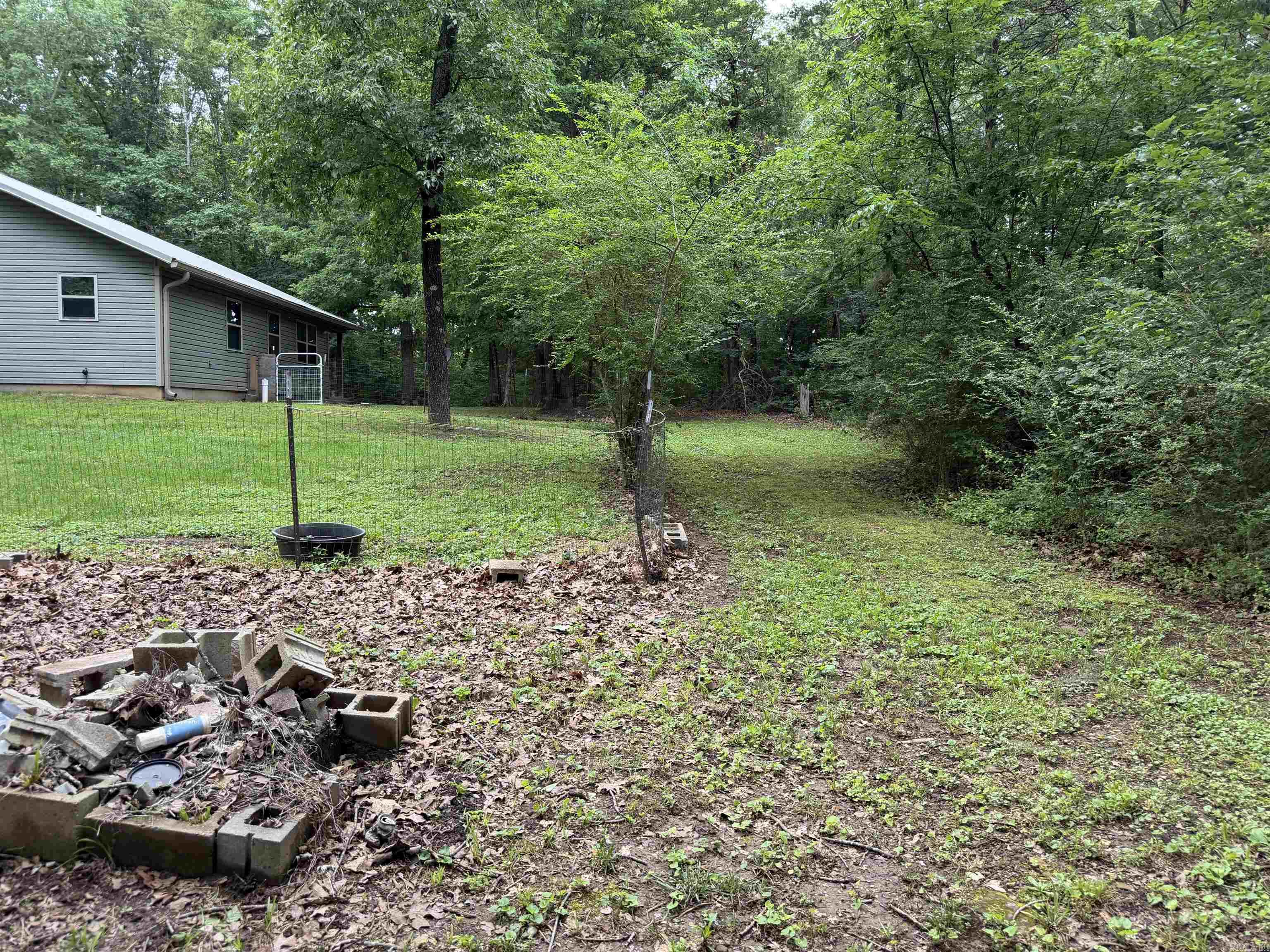 252 J Lynne  Mountain View, AR