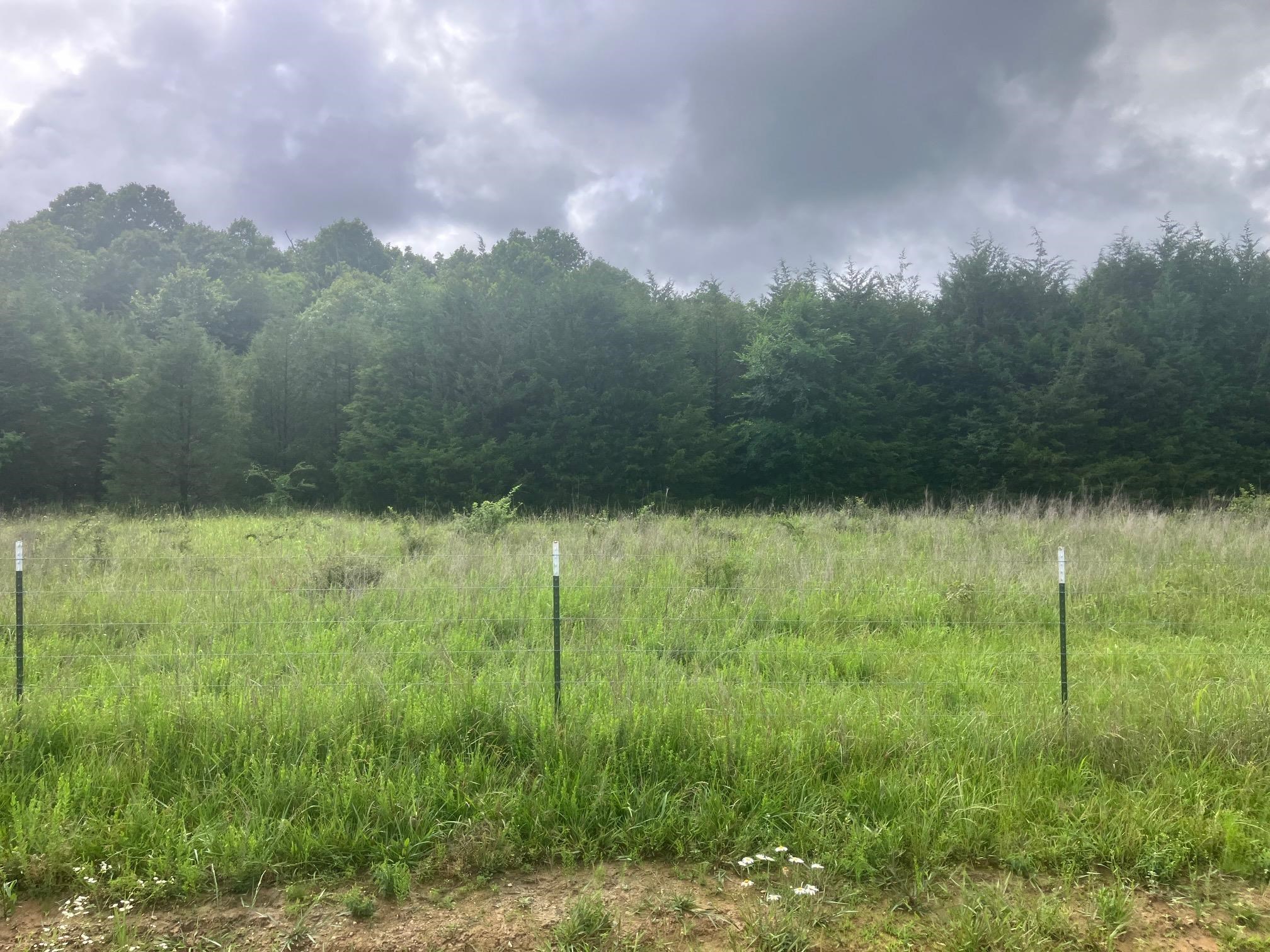 8521 Byron Road  Salem, AR