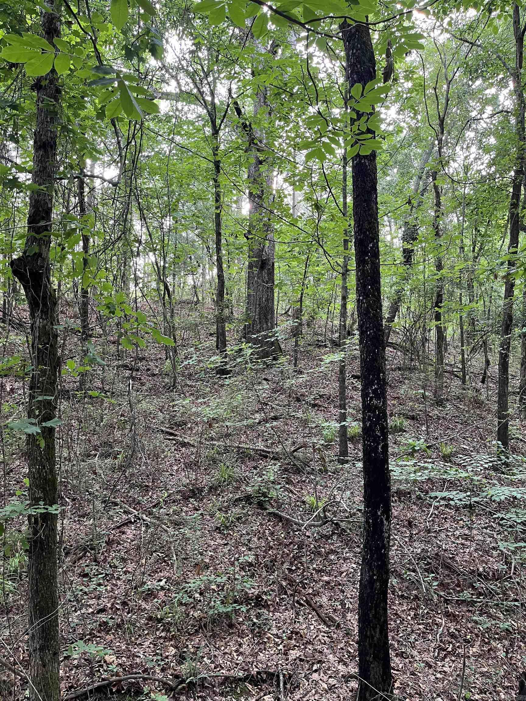  Williams North St  Horatio, AR