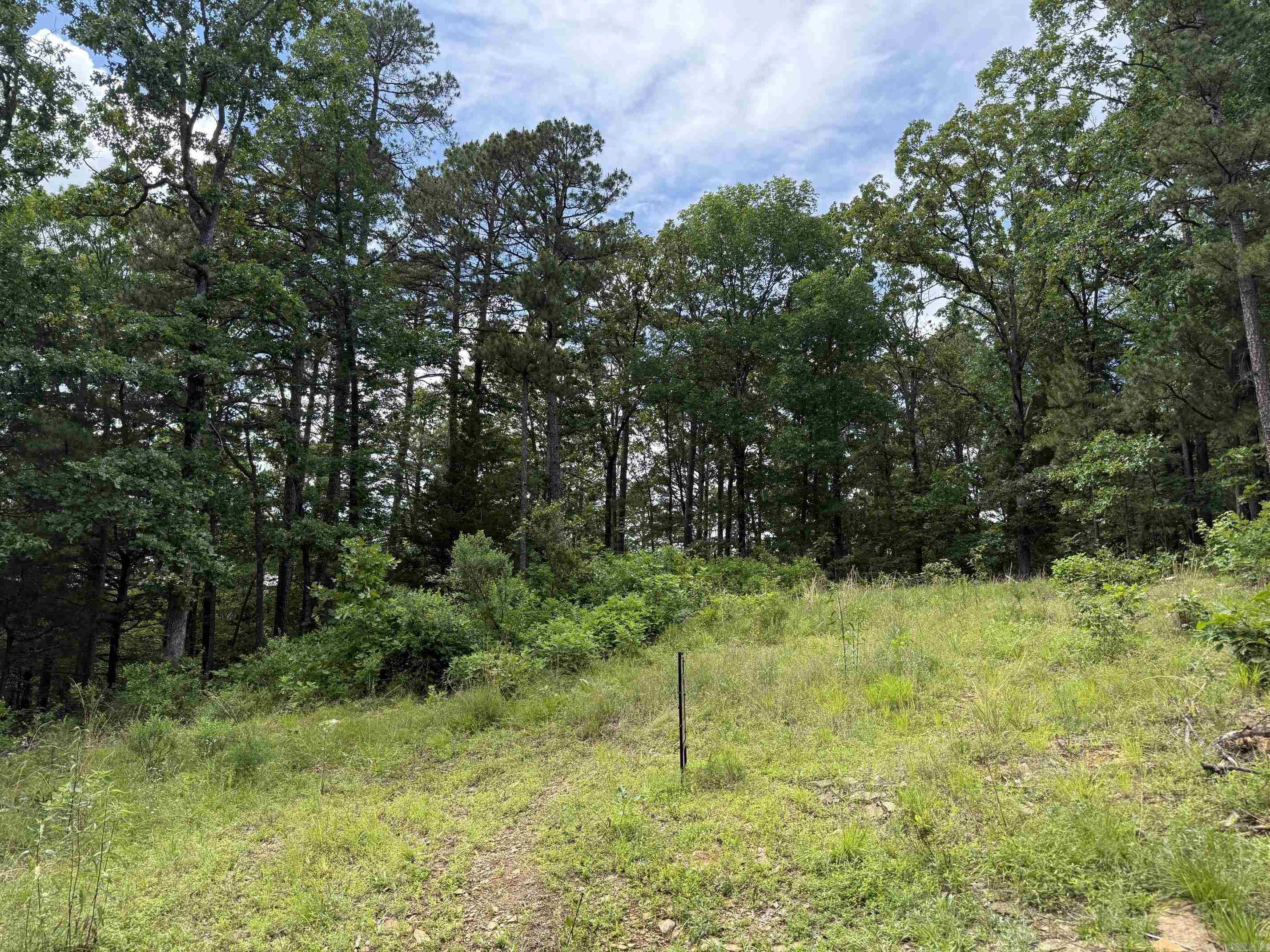 9999 Thompson Cove  Shirley, AR
