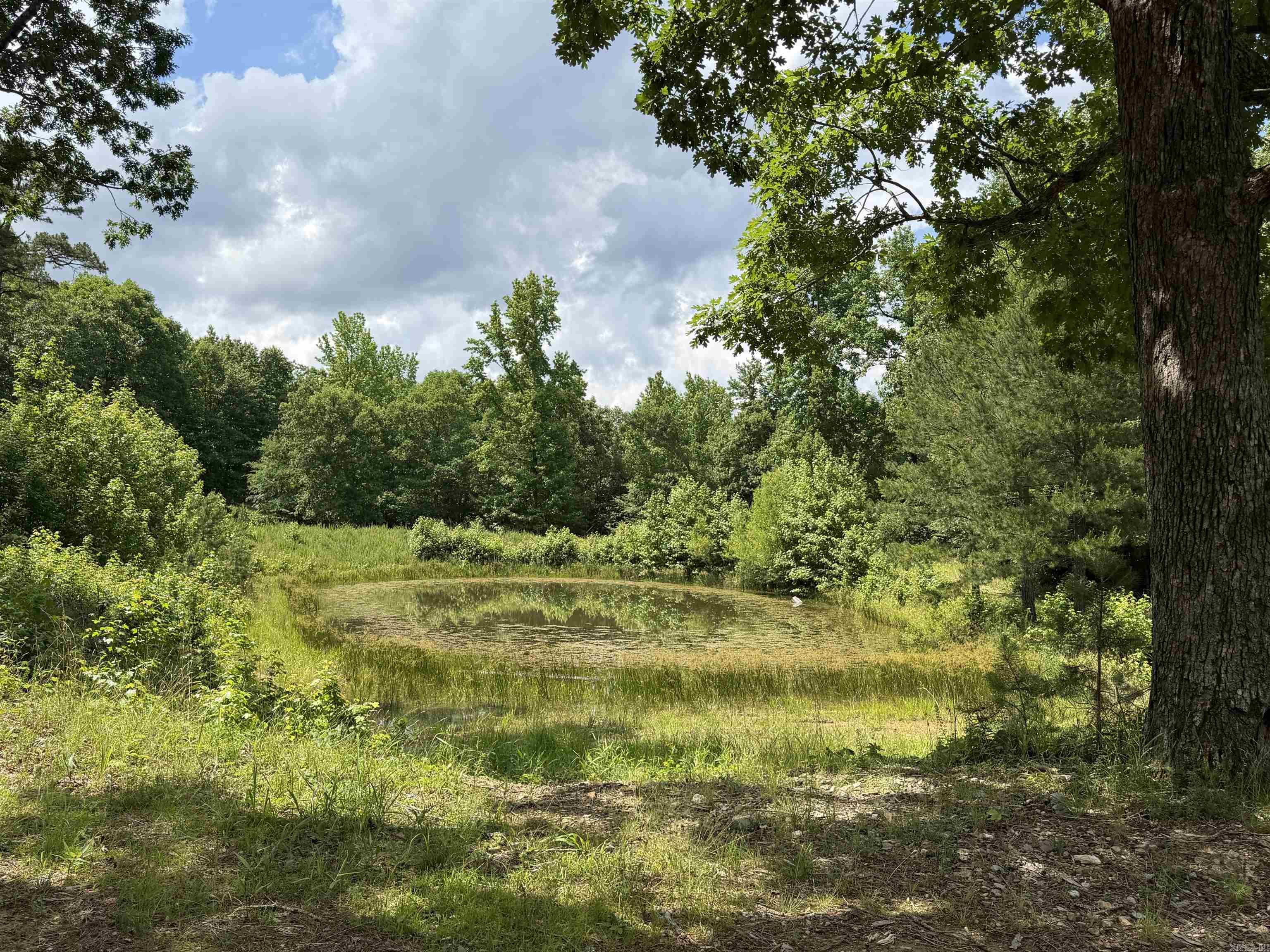 153 Wenger Lane  Mena, AR