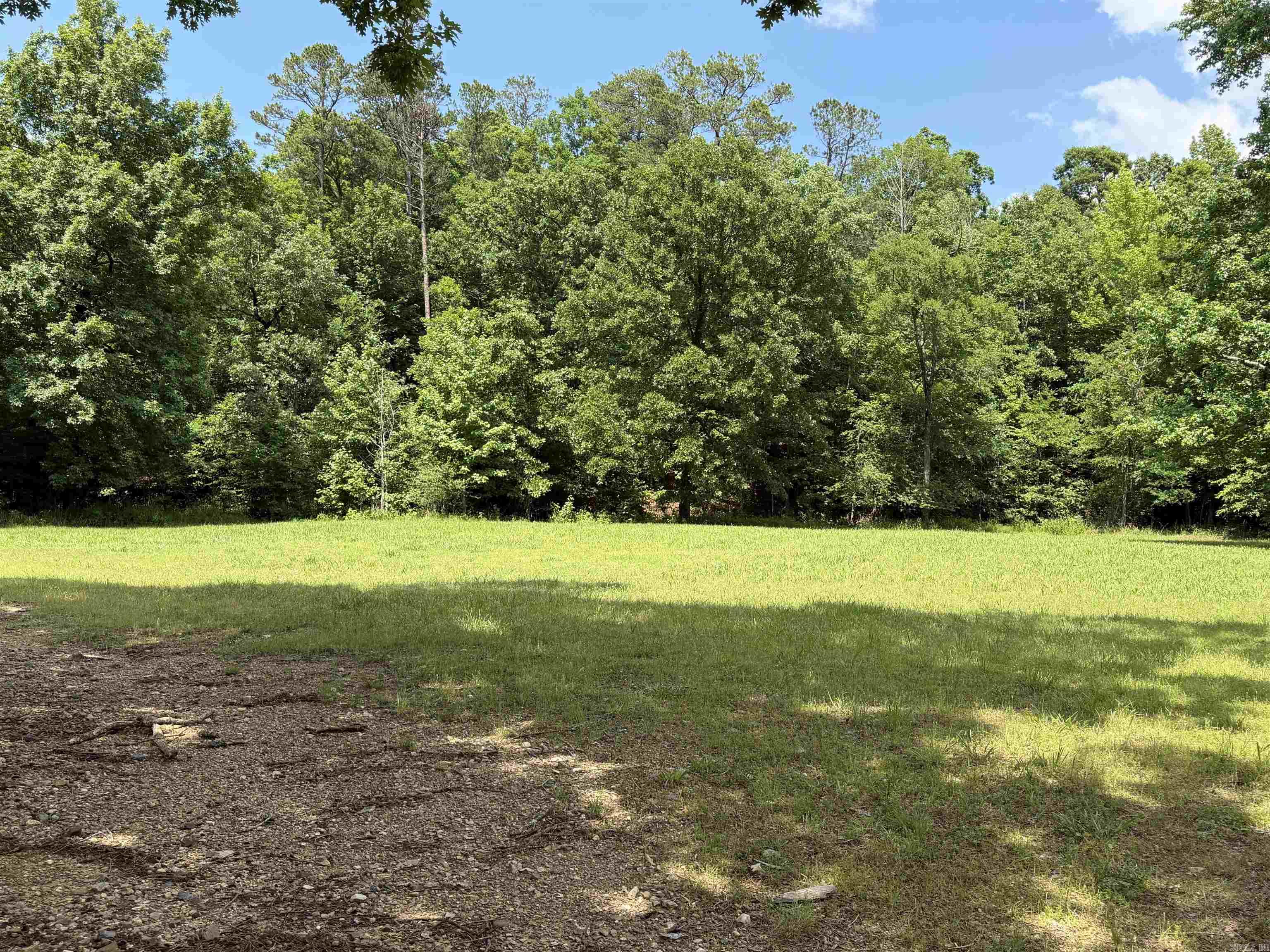153 Wenger Lane  Mena, AR