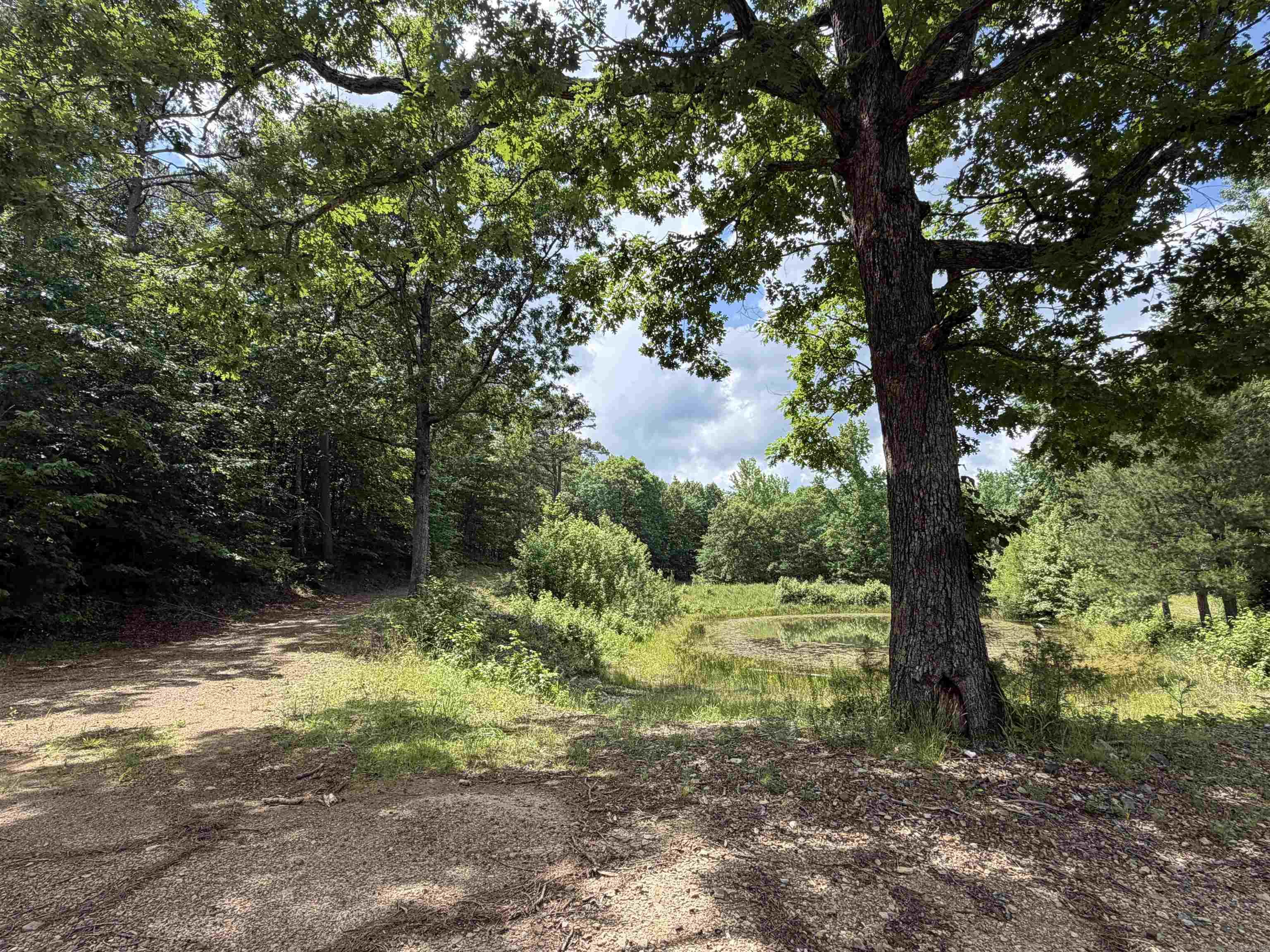 153 Wenger Lane  Mena, AR