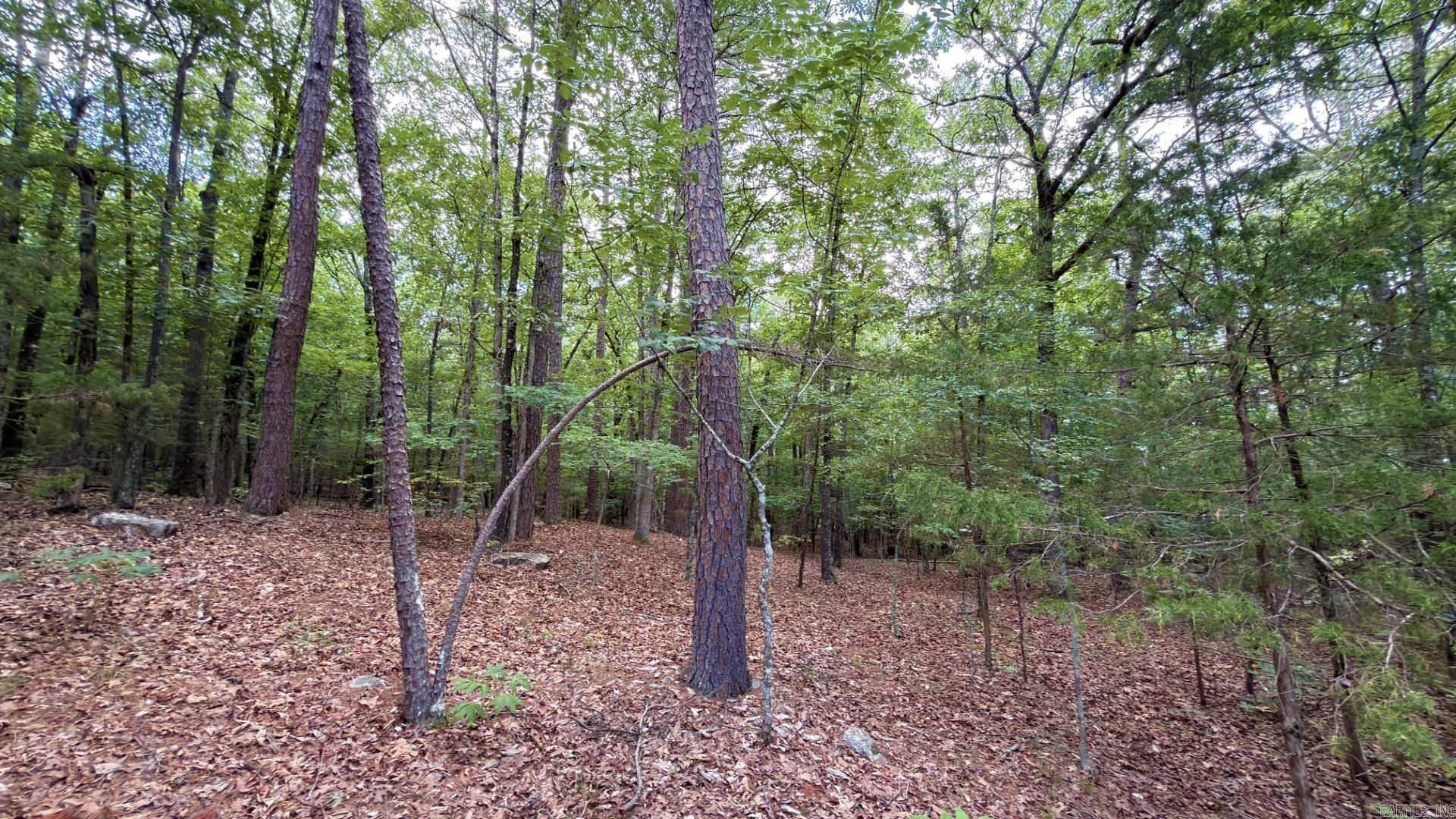Tract 5 Gap Road  Batesville, AR