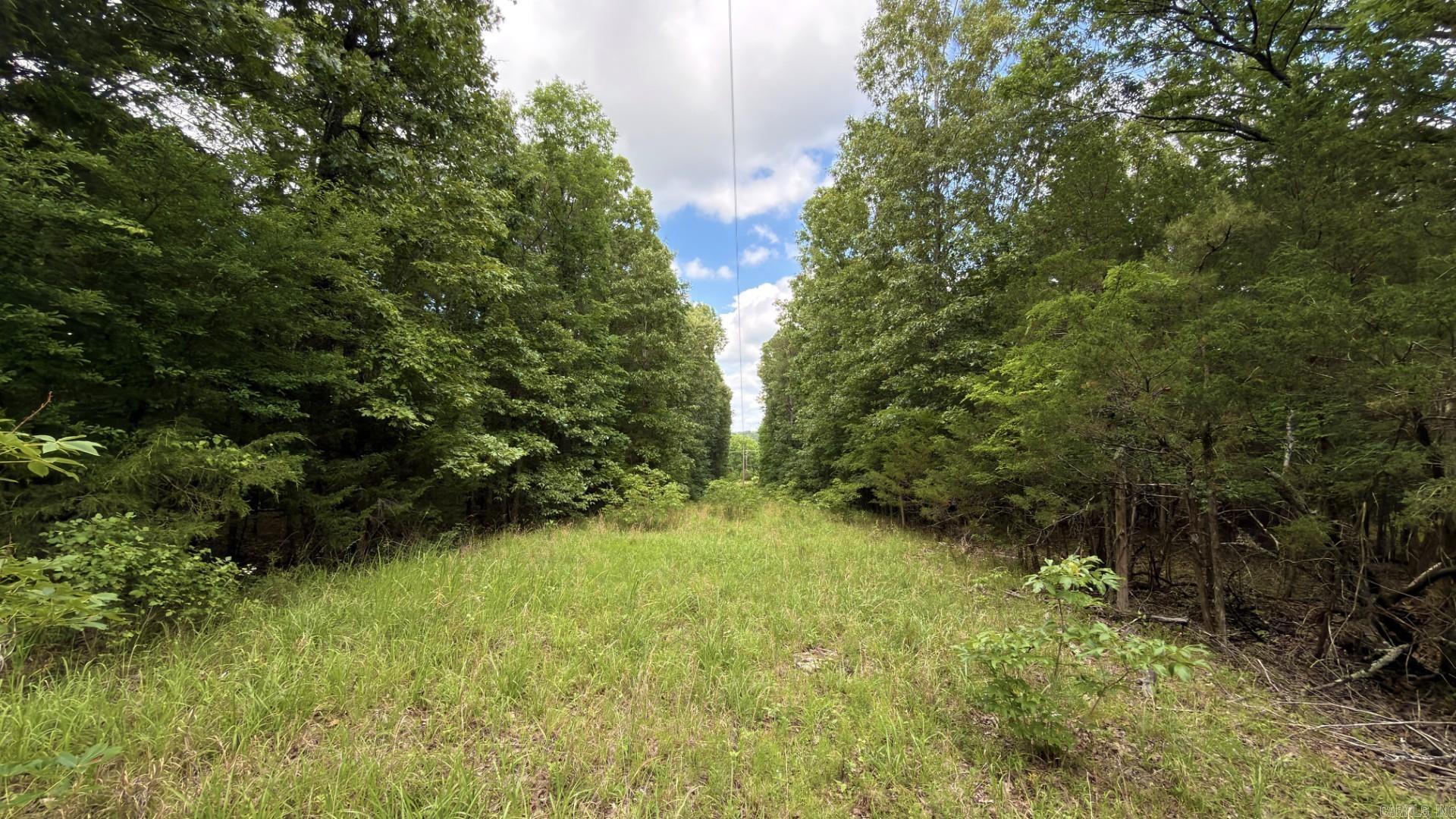 Tract 5 Gap Road  Batesville, AR