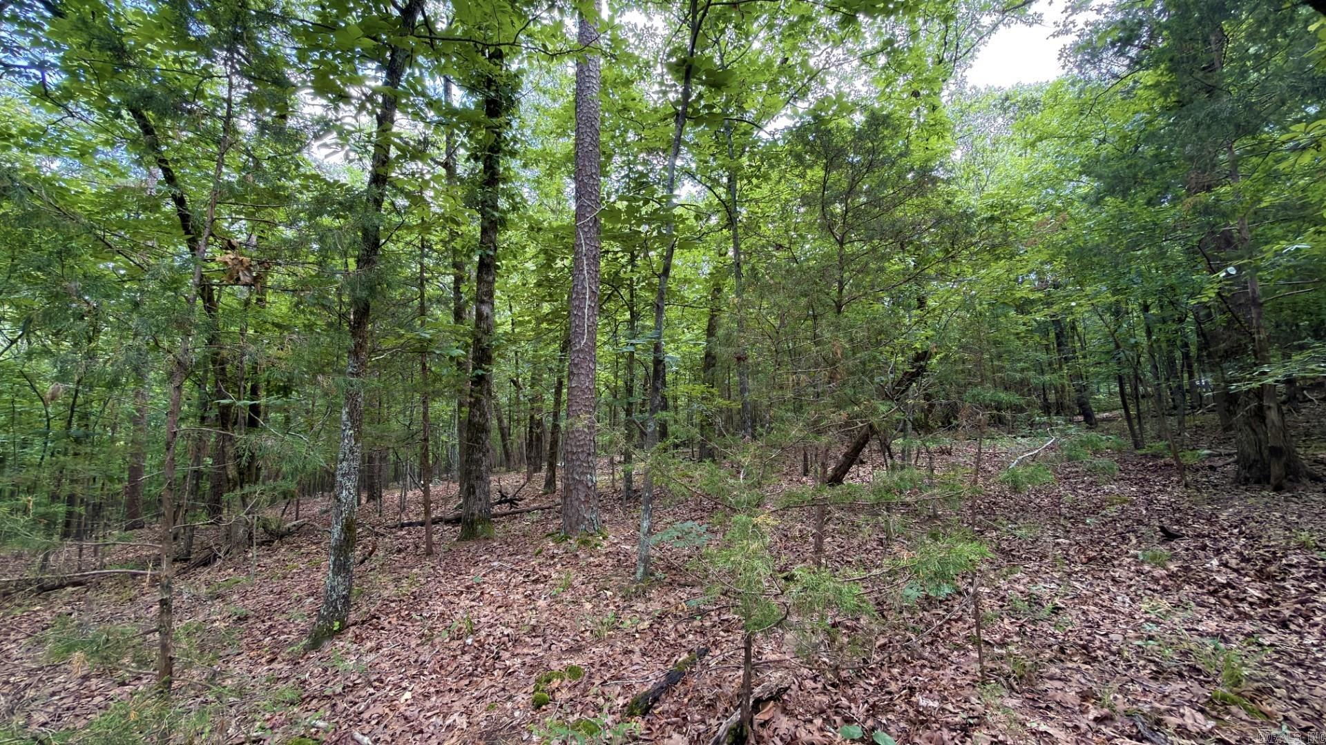 Tract 4 Gap Road  Batesville, AR