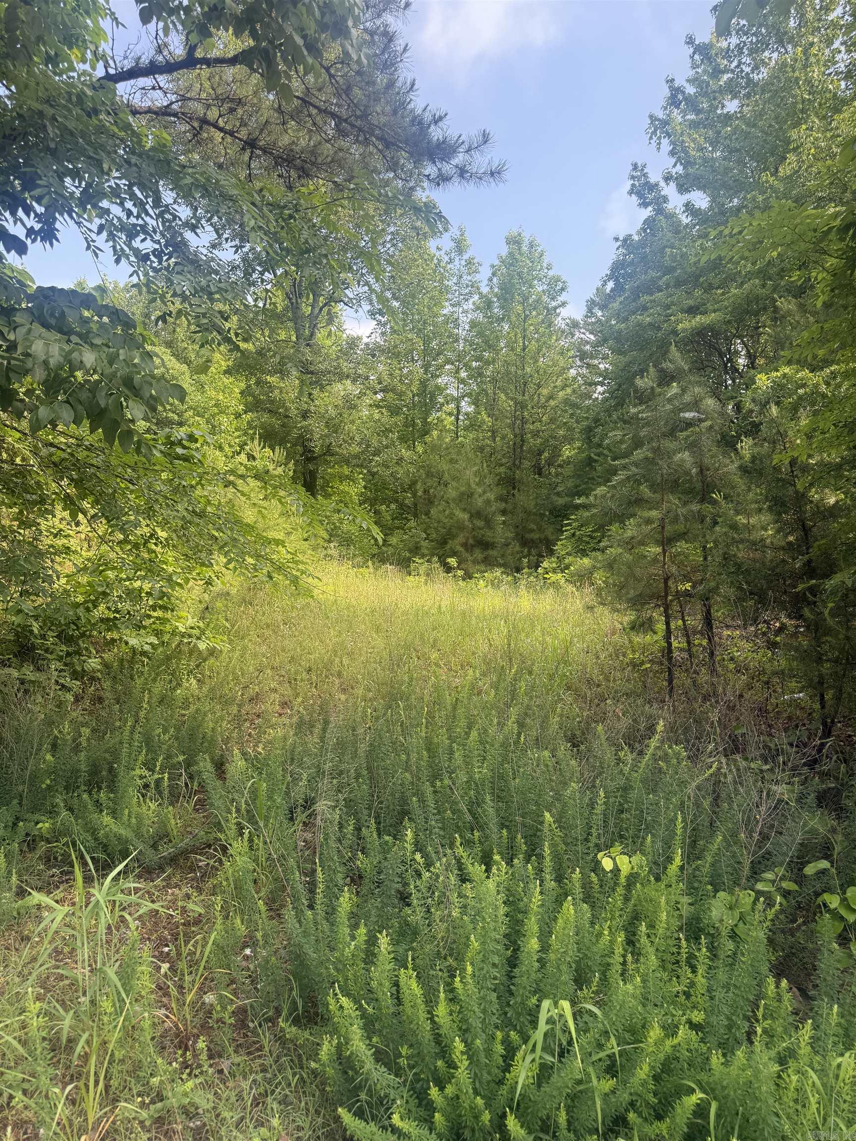3282 Greene 625 Rd  Paragould, AR