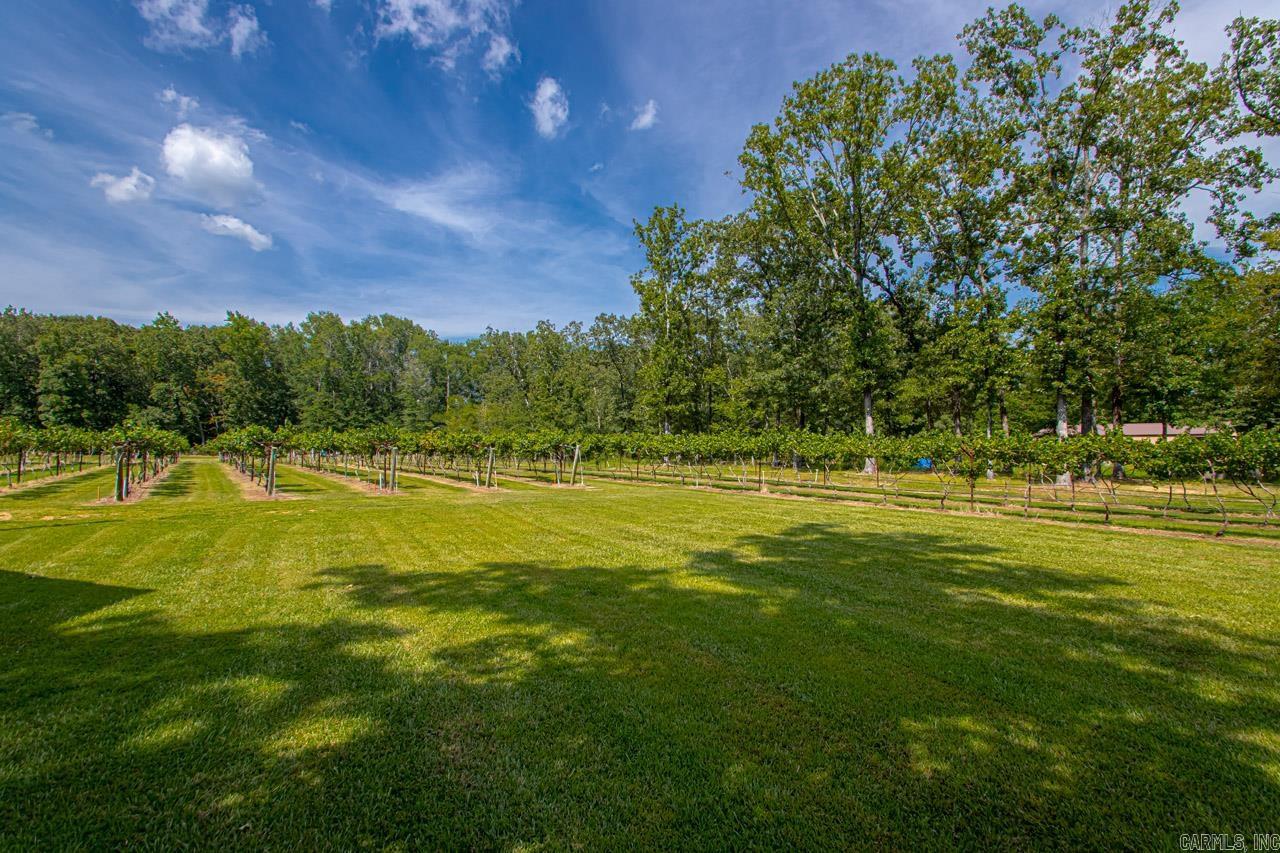 42 Oakwood  Vilonia, AR
