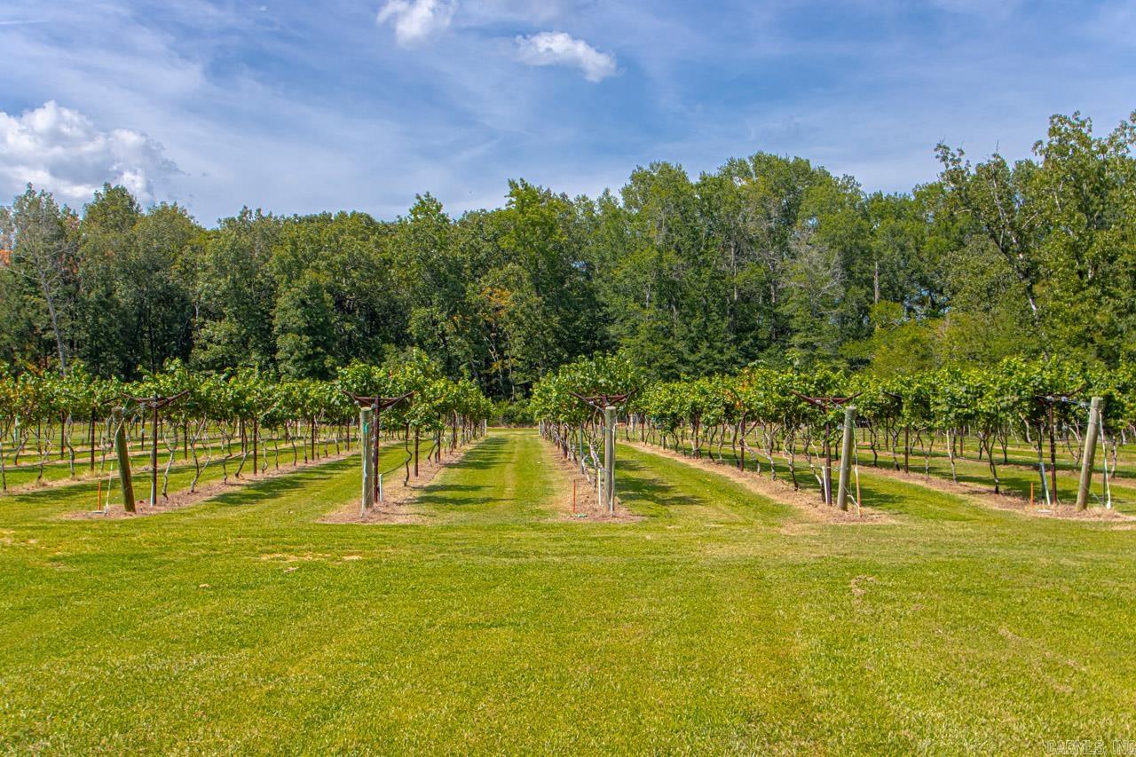 42 Oakwood  Vilonia, AR