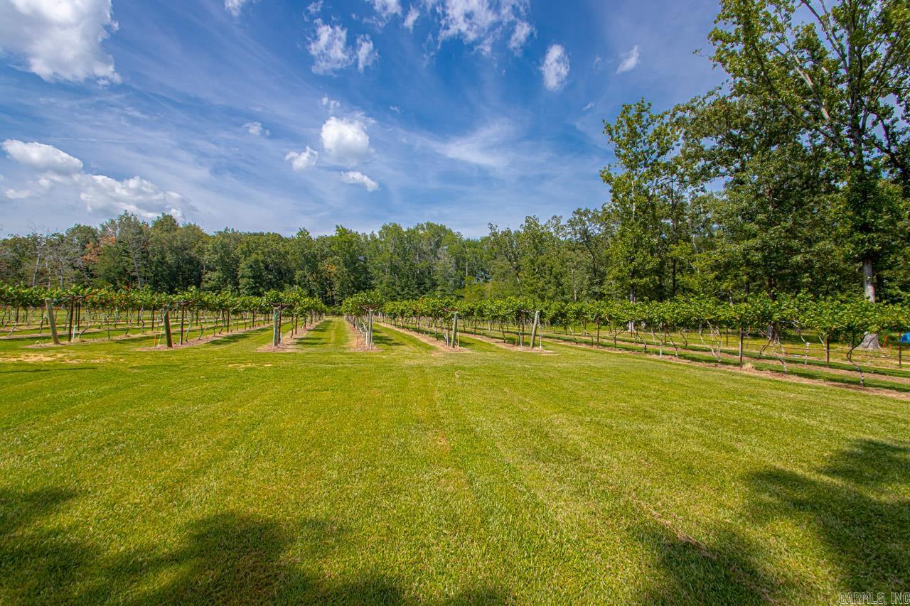 42 Oakwood  Vilonia, AR