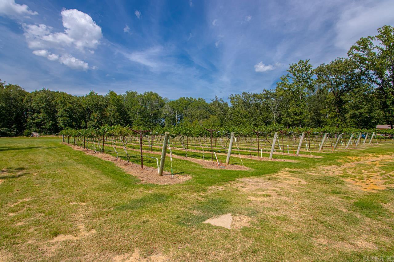 42 Oakwood  Vilonia, AR