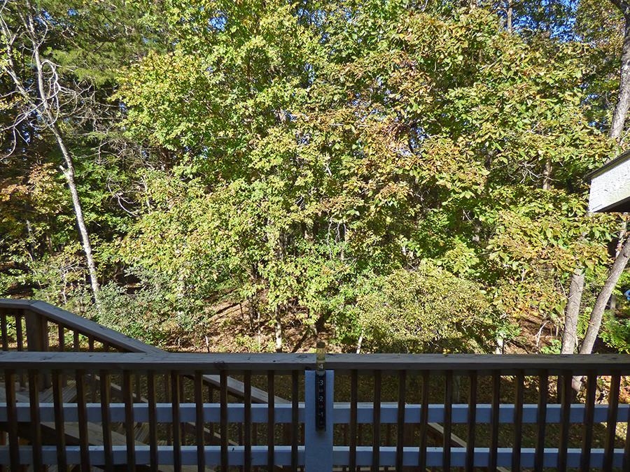 28 Spring River  Cherokee Village, AR