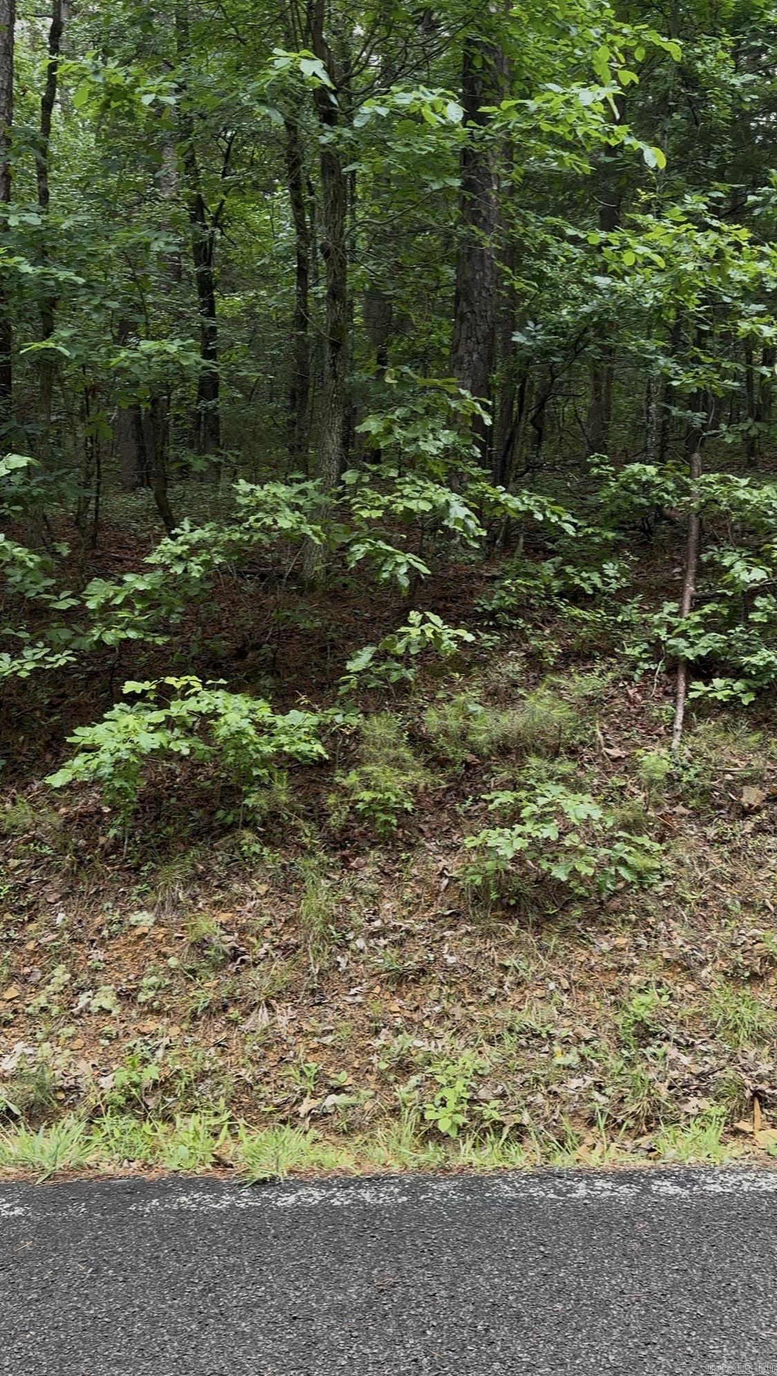 000 WHITE OAK  Fairfield Bay, AR