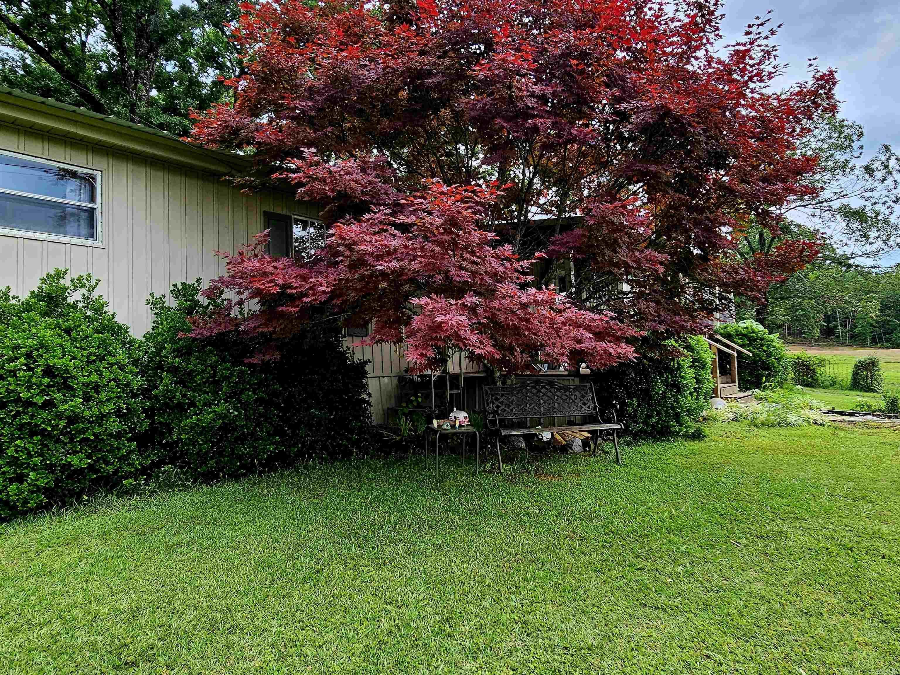 288 Redress  Bee Branch, AR