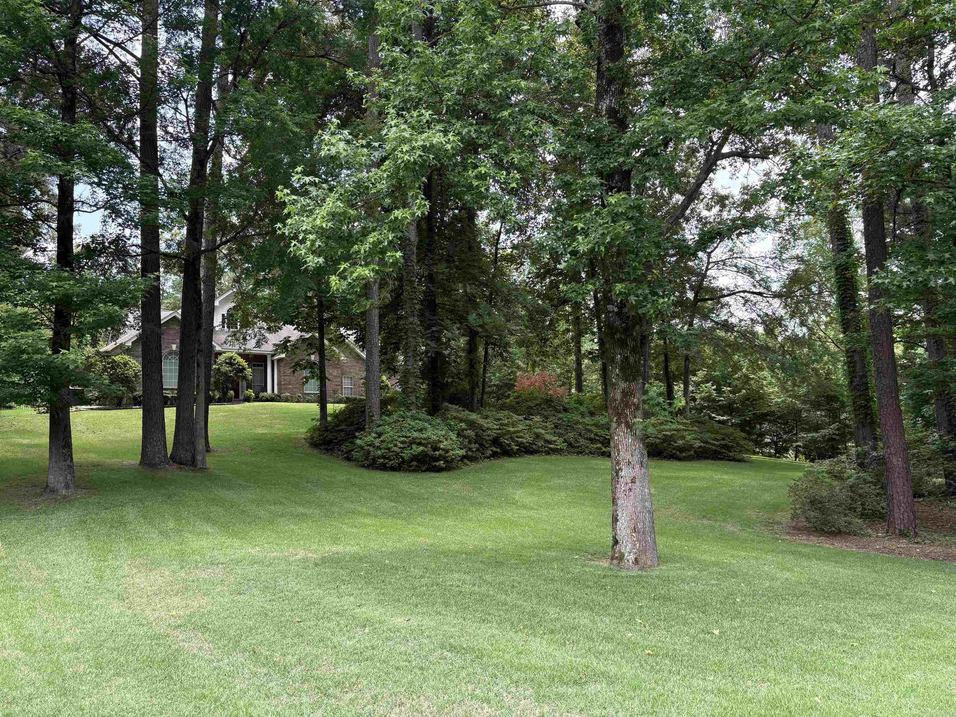 95 Pinnacle  Arkadelphia, AR